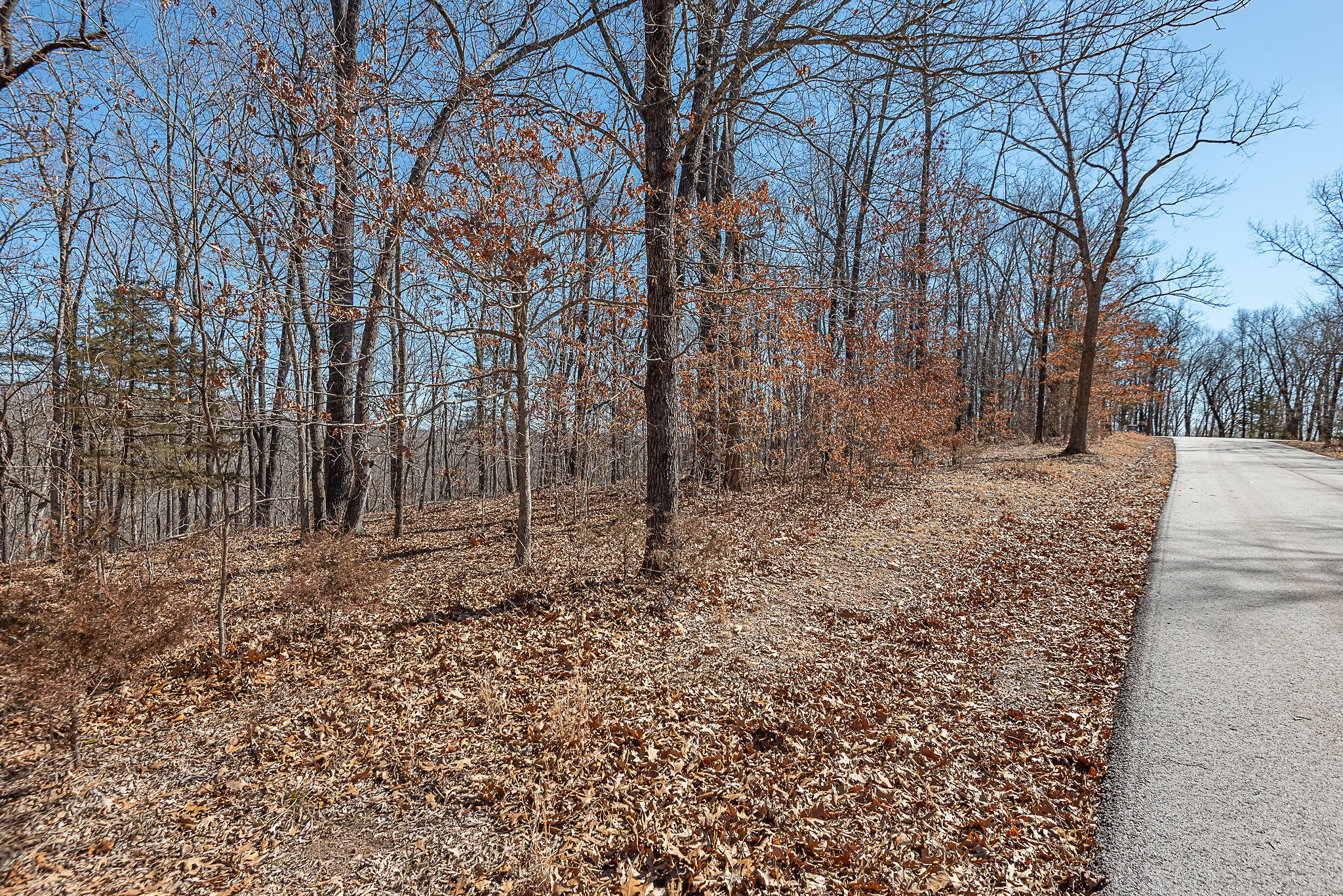Photo 8 - Land for sale – 000  Nottingham   Saddlebrooke, MO