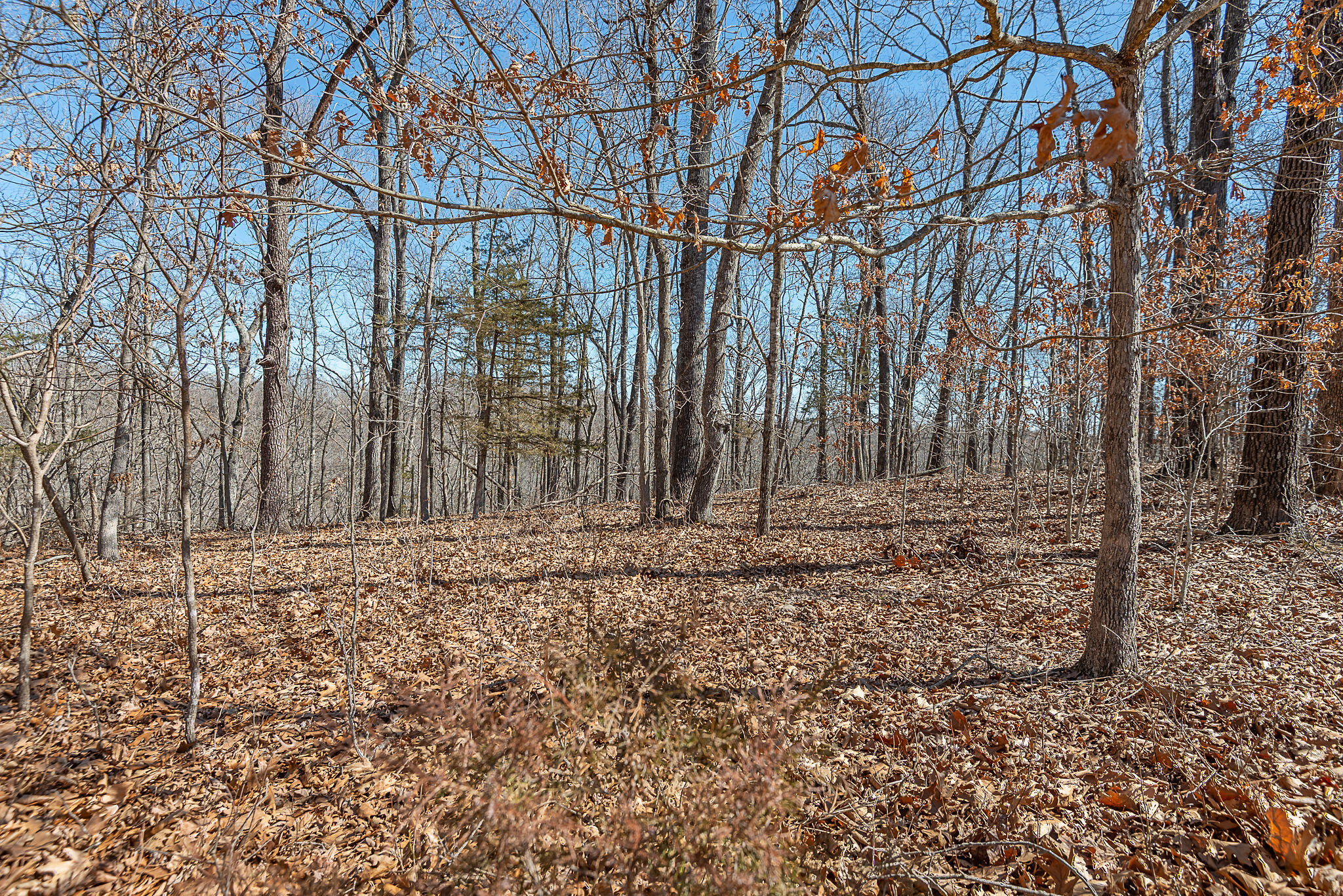 Photo 3 - Land for sale – 000  Nottingham   Saddlebrooke, MO