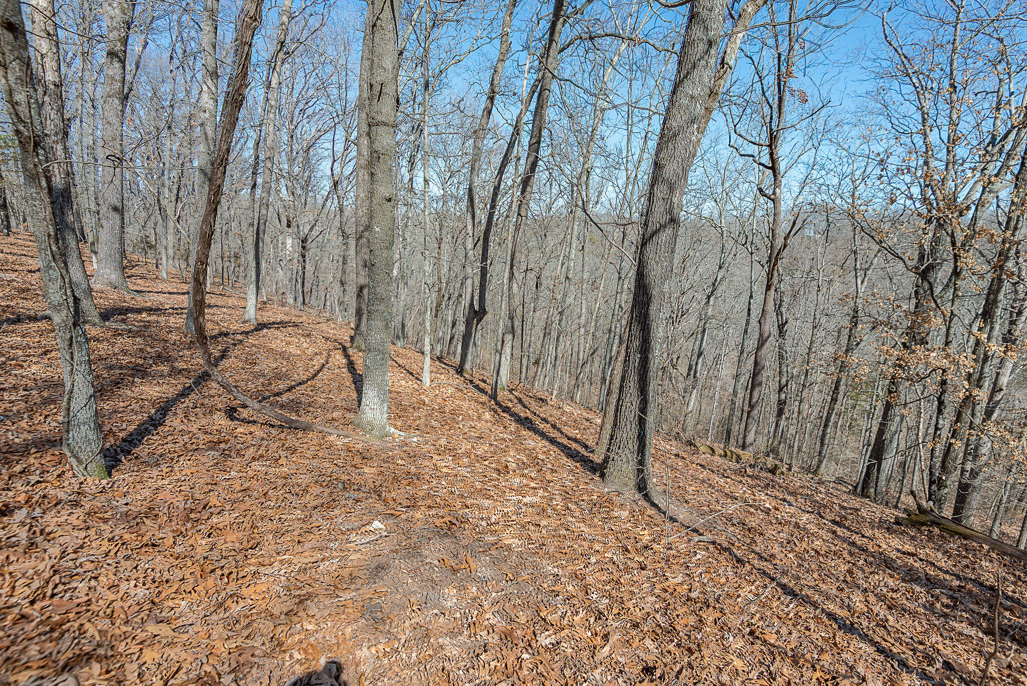 Photo 7 - Land for sale – 000  Nottingham   Saddlebrooke, MO
