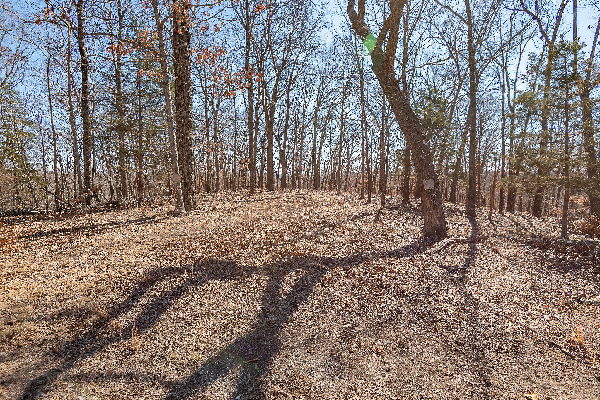 Photo 2 - Land for sale – 000  Nottingham   Saddlebrooke, MO