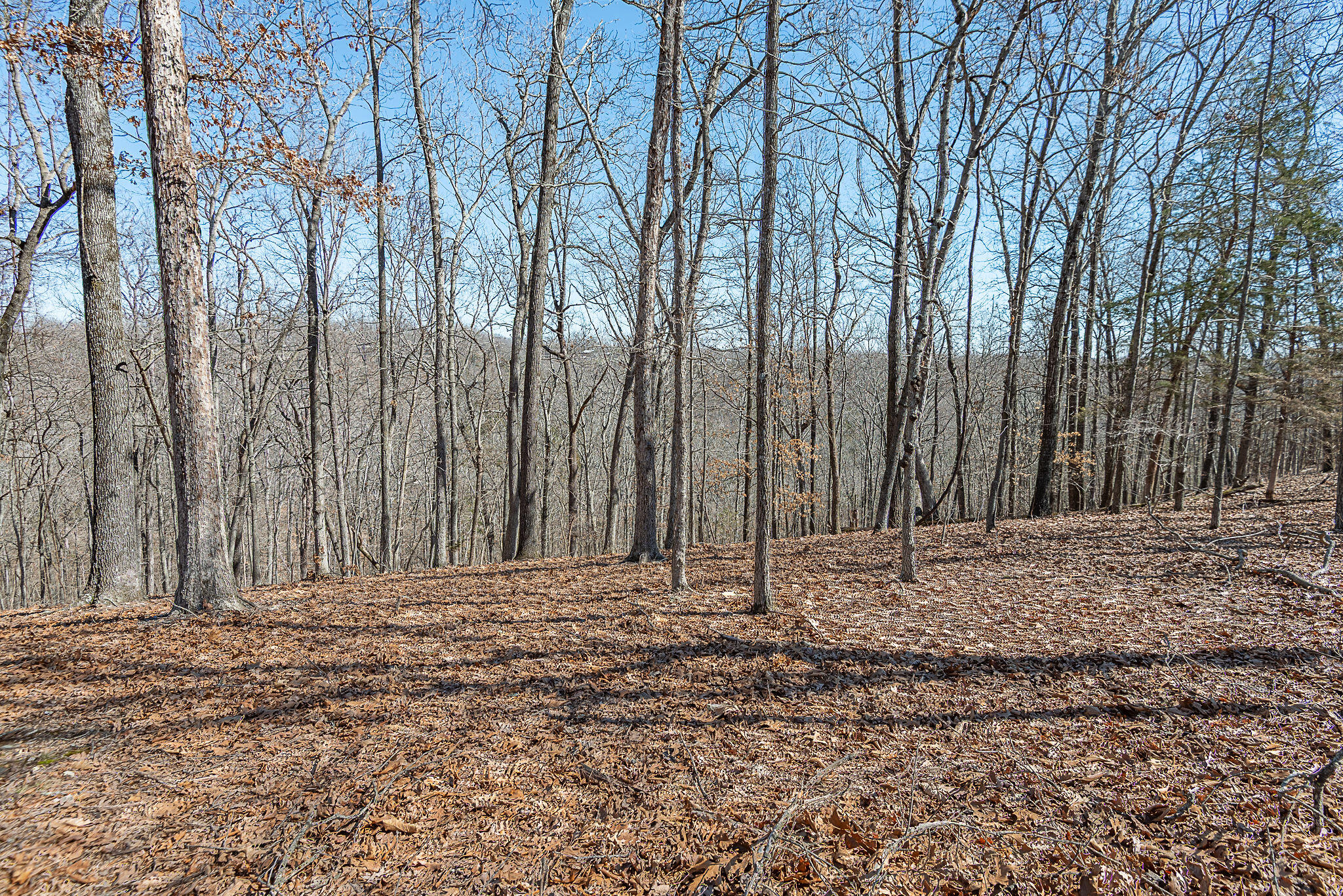 Photo 5 - Land for sale – 000  Nottingham   Saddlebrooke, MO