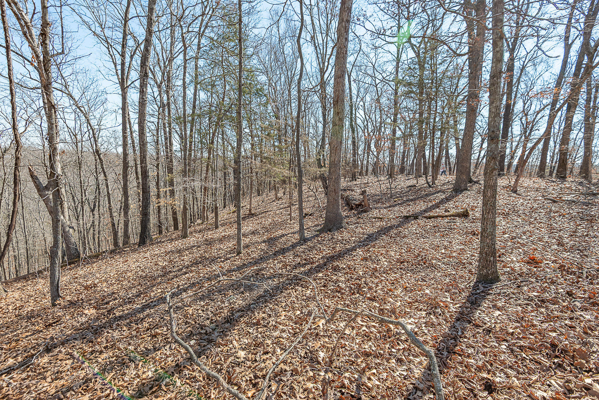 Photo 4 - Land for sale – 000  Nottingham   Saddlebrooke, MO