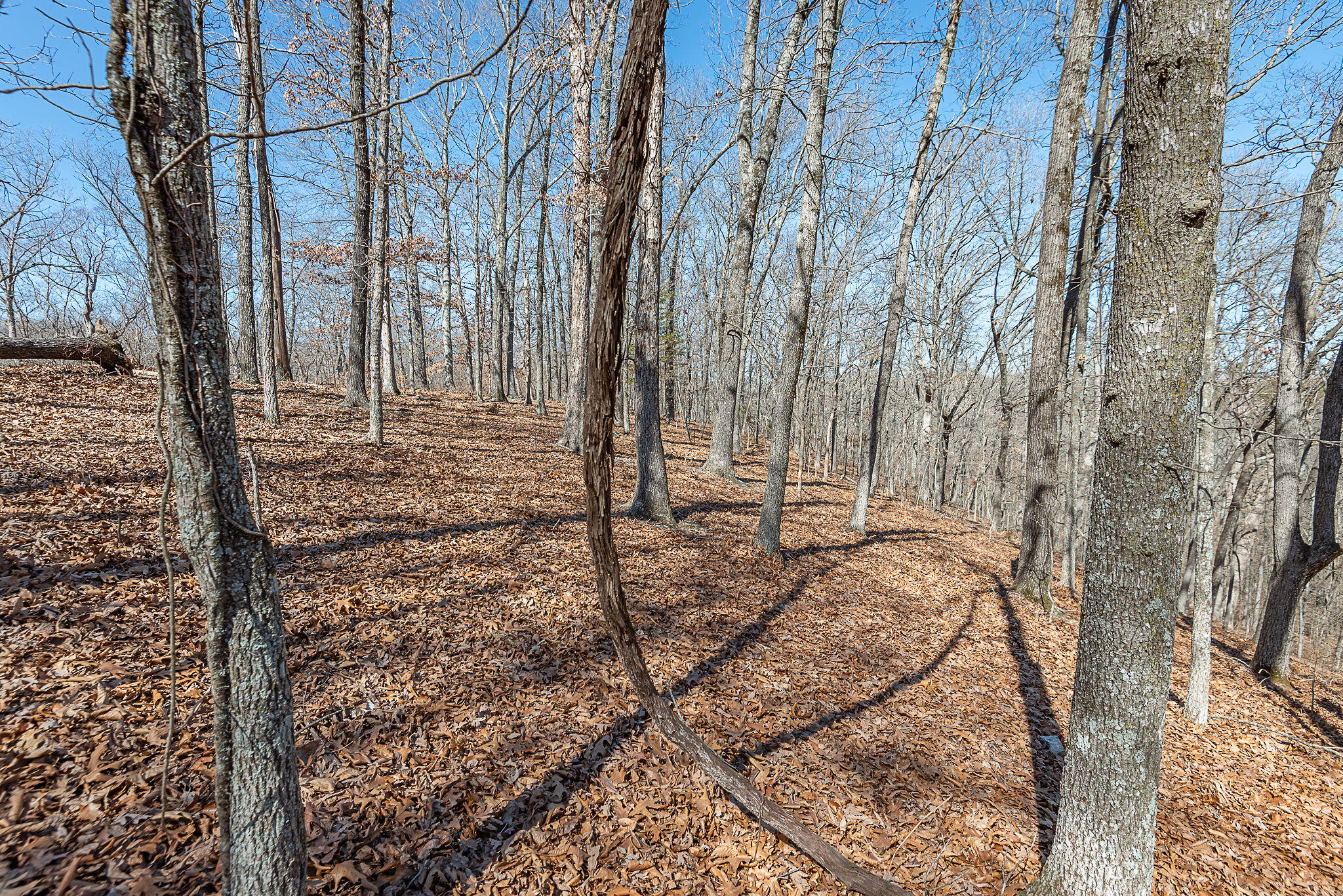 Photo 6 - Land for sale – 000  Nottingham   Saddlebrooke, MO