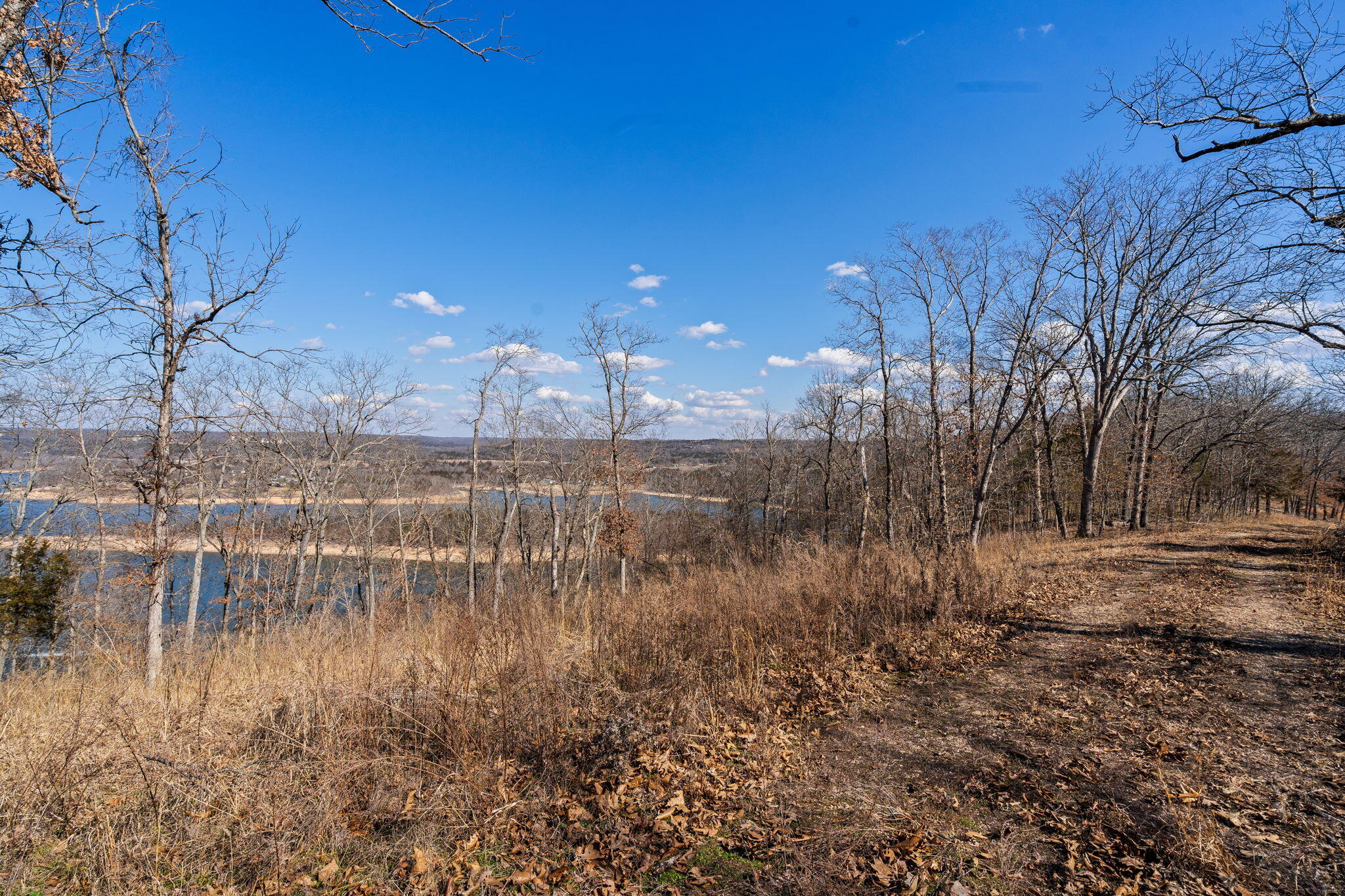 Photo 54 - Land for sale – 000  Long Bend Road  Galena, MO