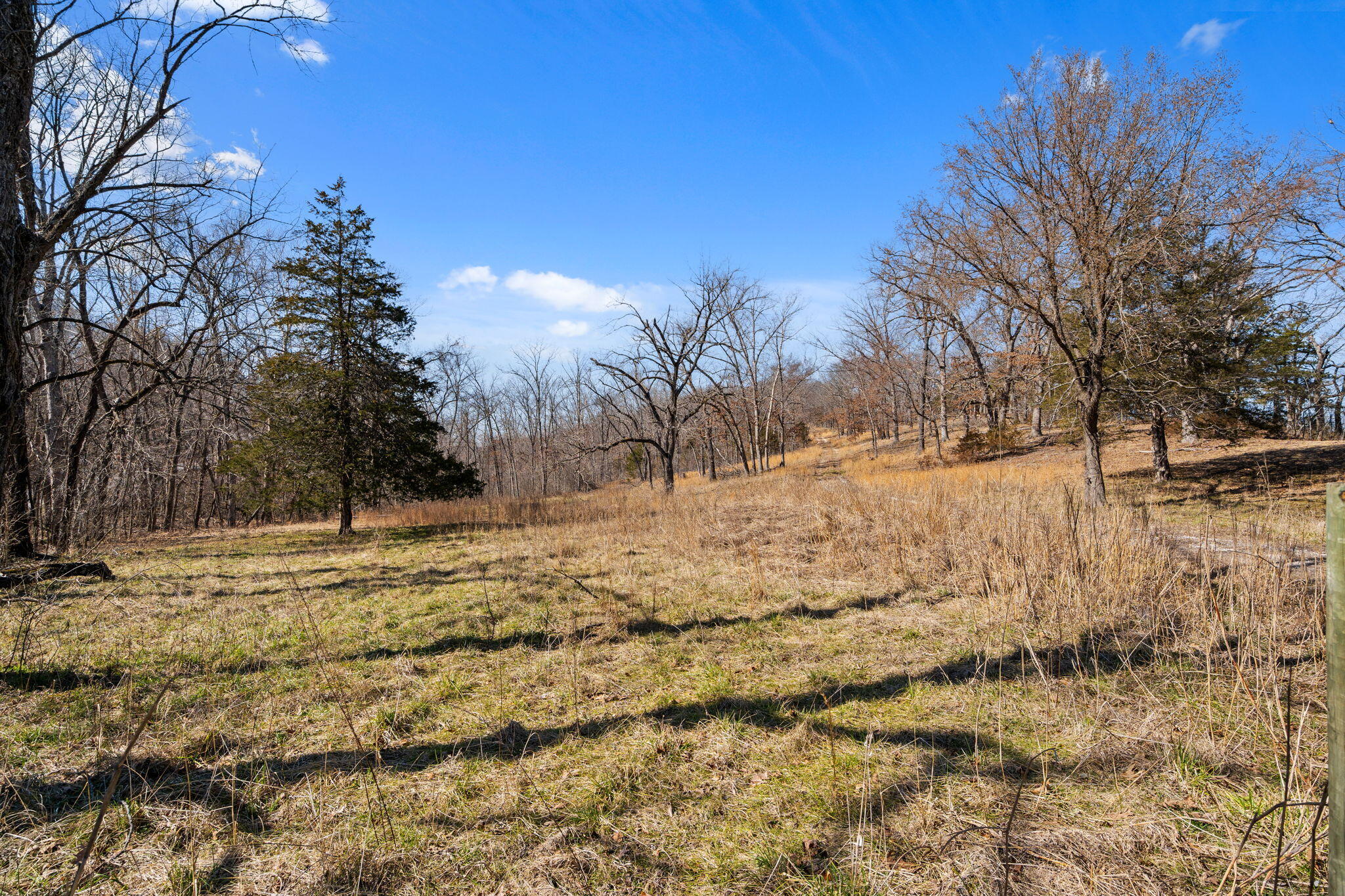 Photo 48 - Land for sale – 000  Long Bend Road  Galena, MO
