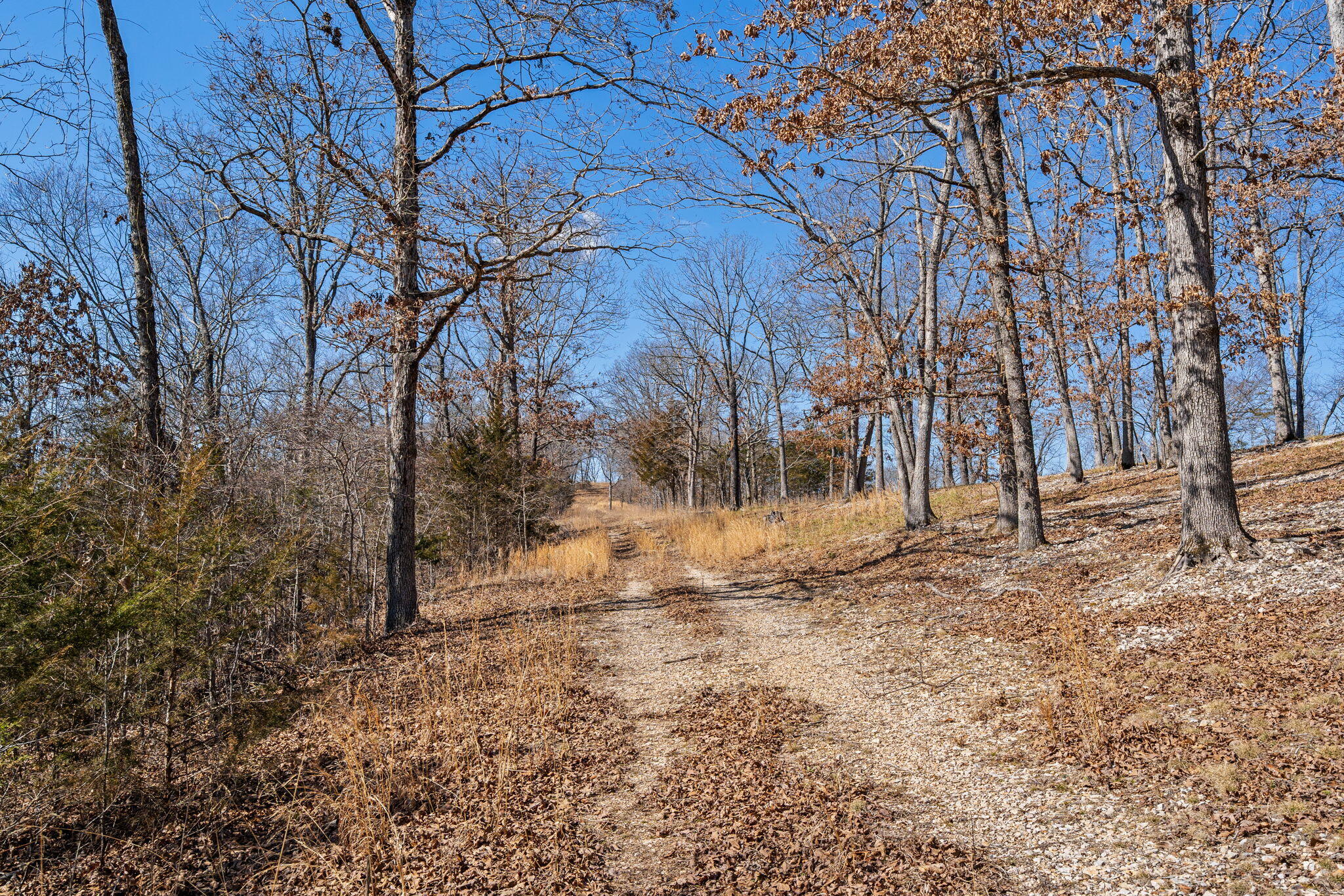 Photo 51 - Land for sale – 000  Long Bend Road  Galena, MO