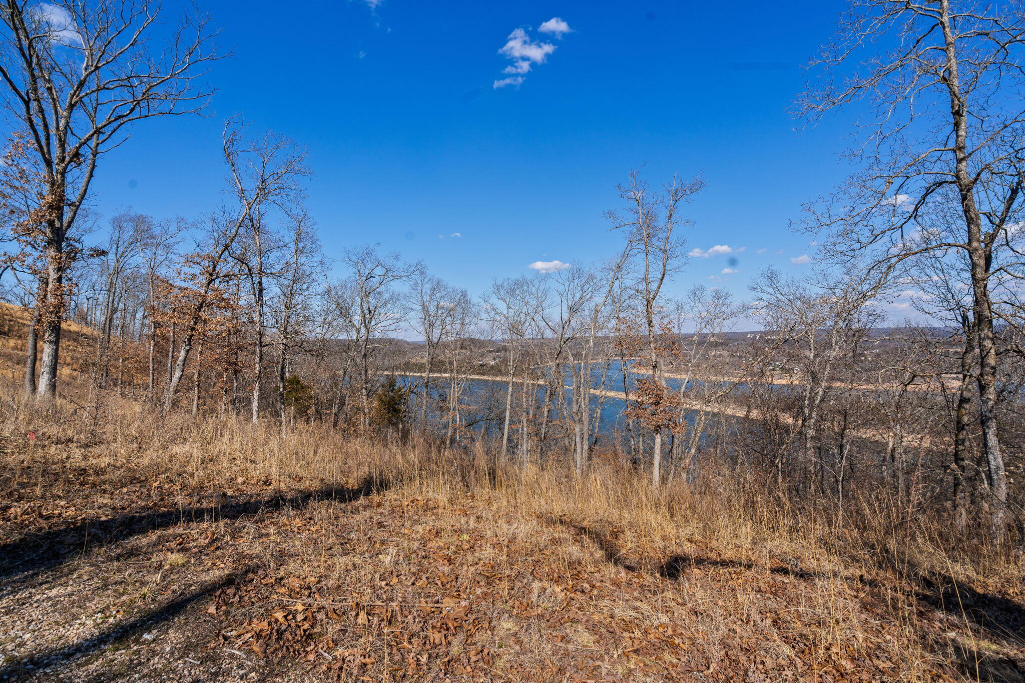 Photo 53 - Land for sale – 000  Long Bend Road  Galena, MO