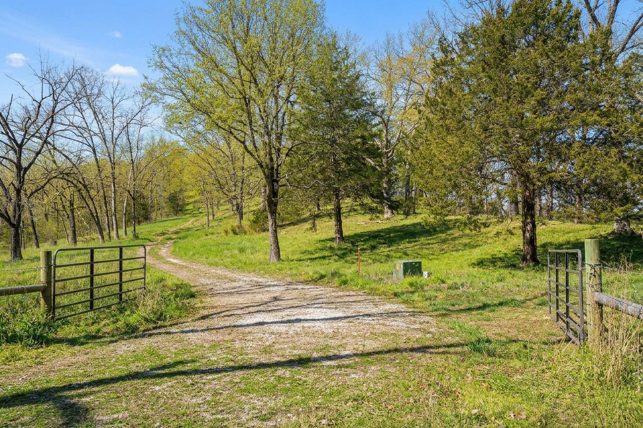 Photo 19 - Land for sale – 000  Long Bend Road  Galena, MO