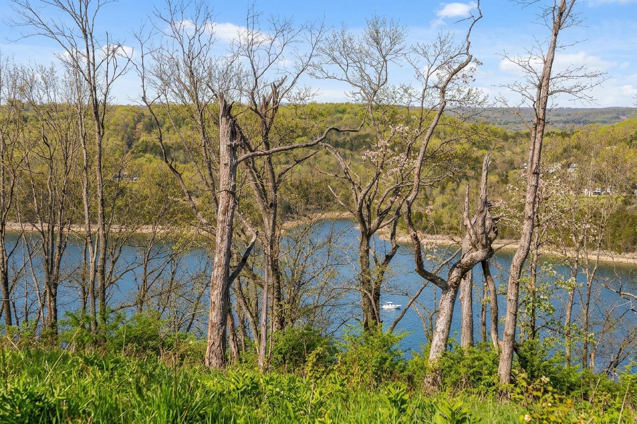 Photo 18 - Land for sale – 000  Long Bend Road  Galena, MO