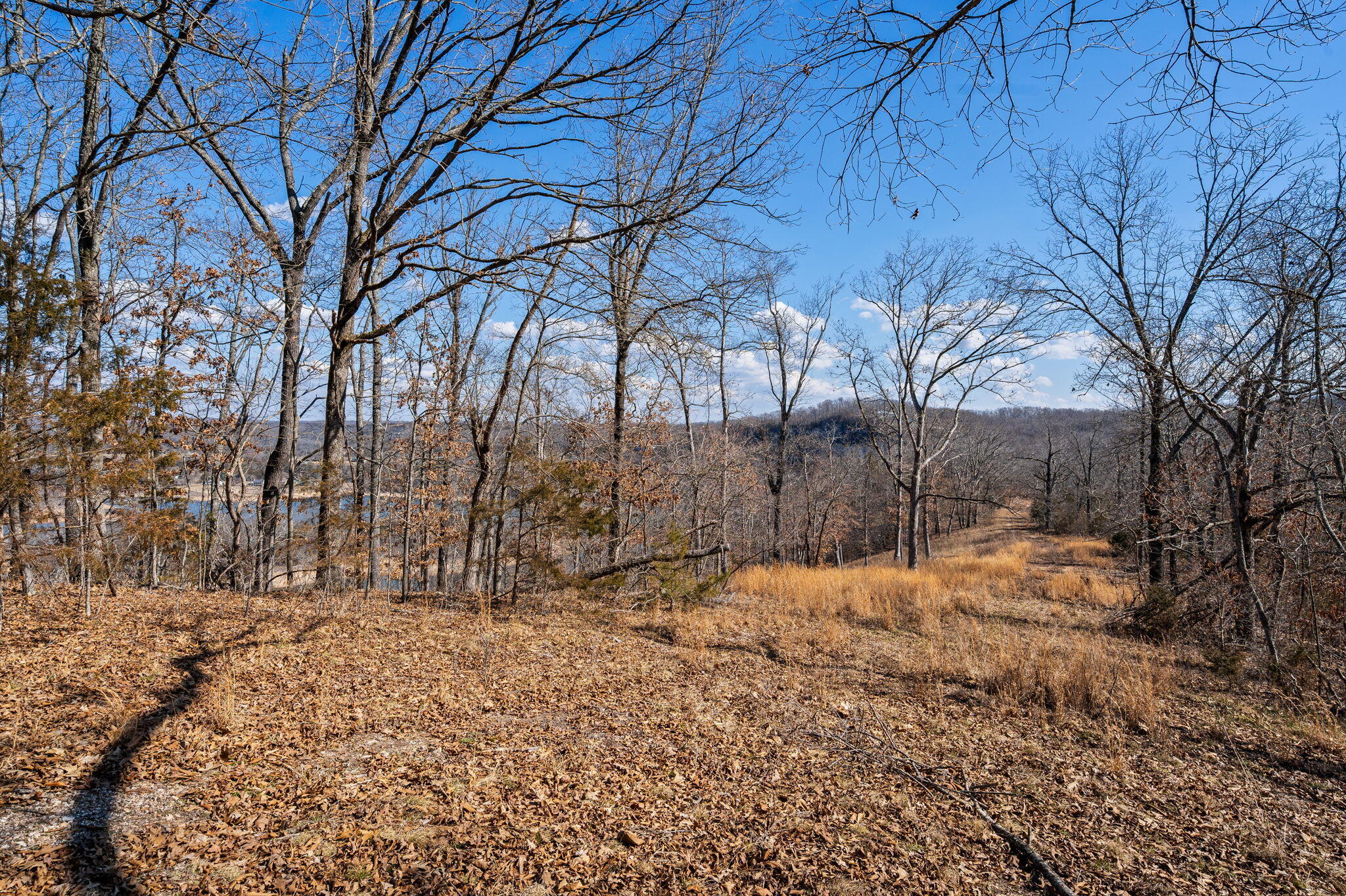 Photo 55 - Land for sale – 000  Long Bend Road  Galena, MO