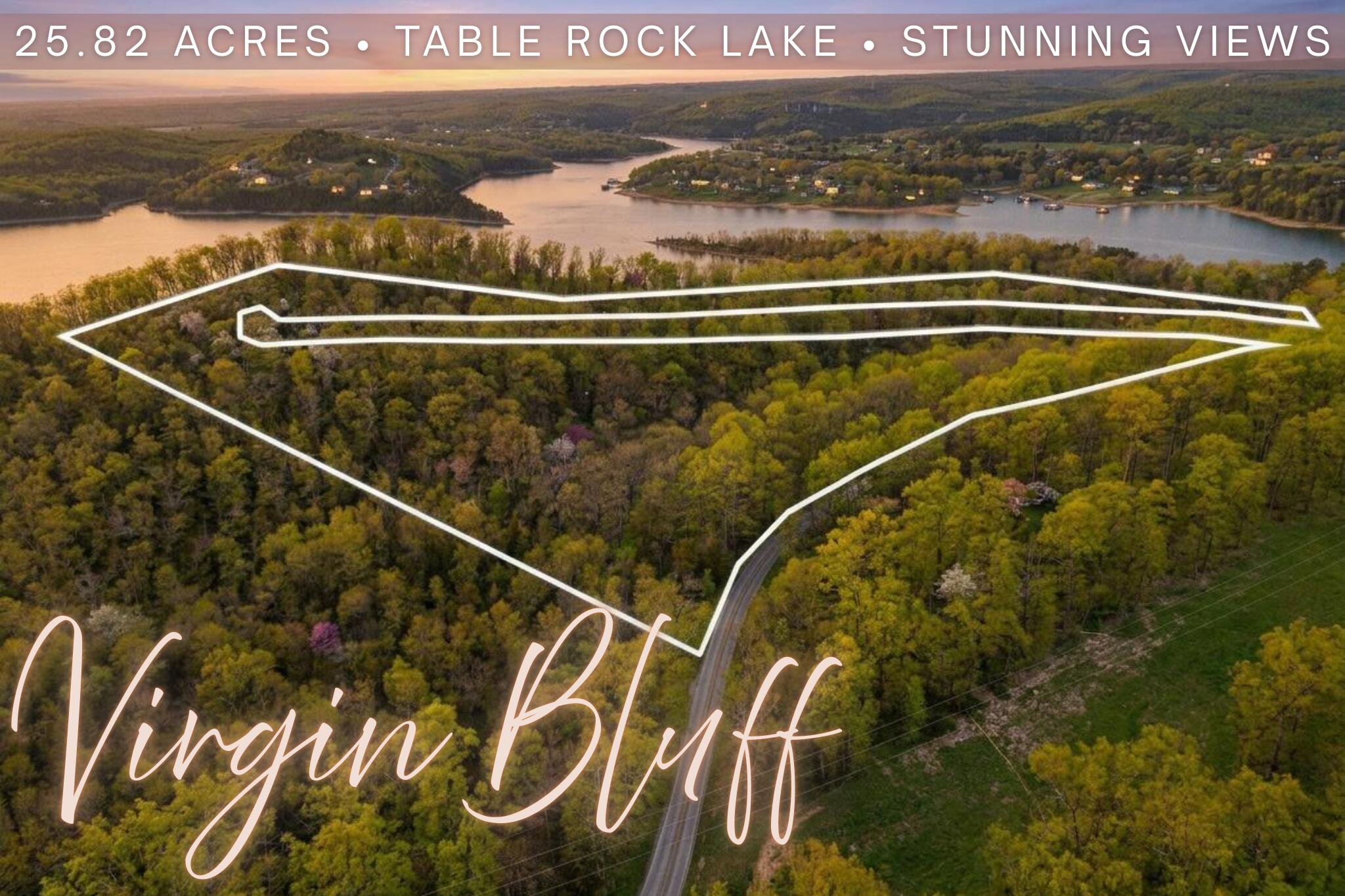 Land for sale – 000  Long Bend Road  Galena, MO