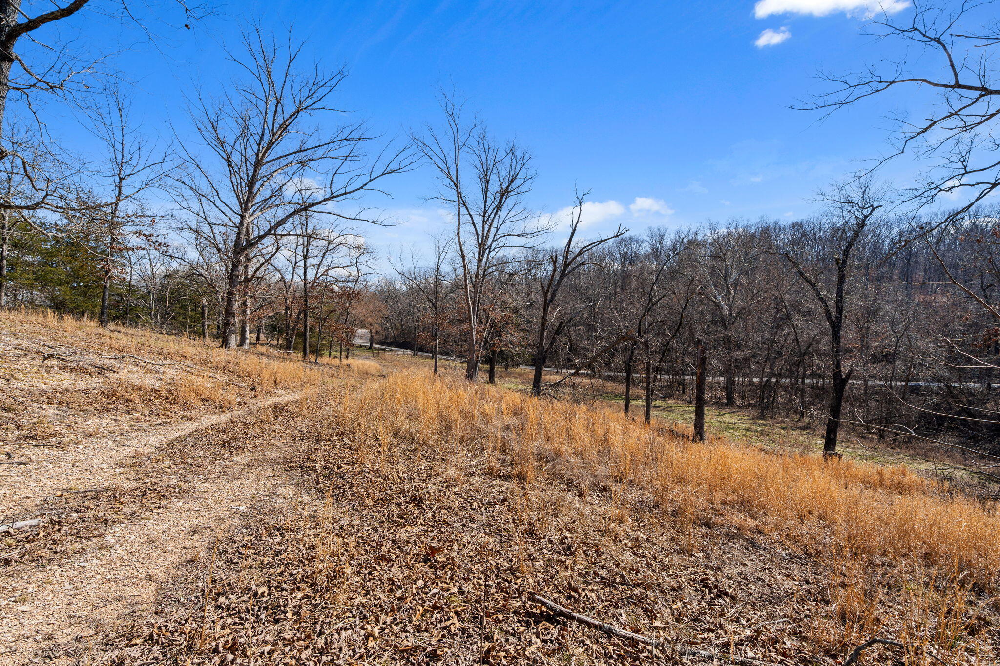 Photo 49 - Land for sale – 000  Long Bend Road  Galena, MO