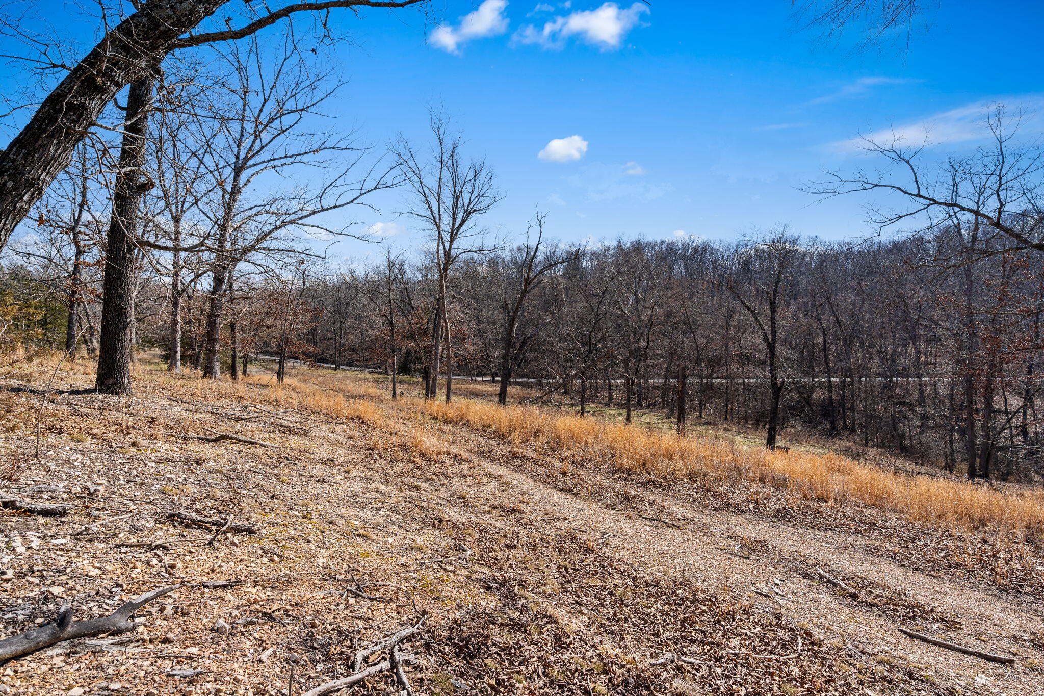 Photo 50 - Land for sale – 000  Long Bend Road  Galena, MO
