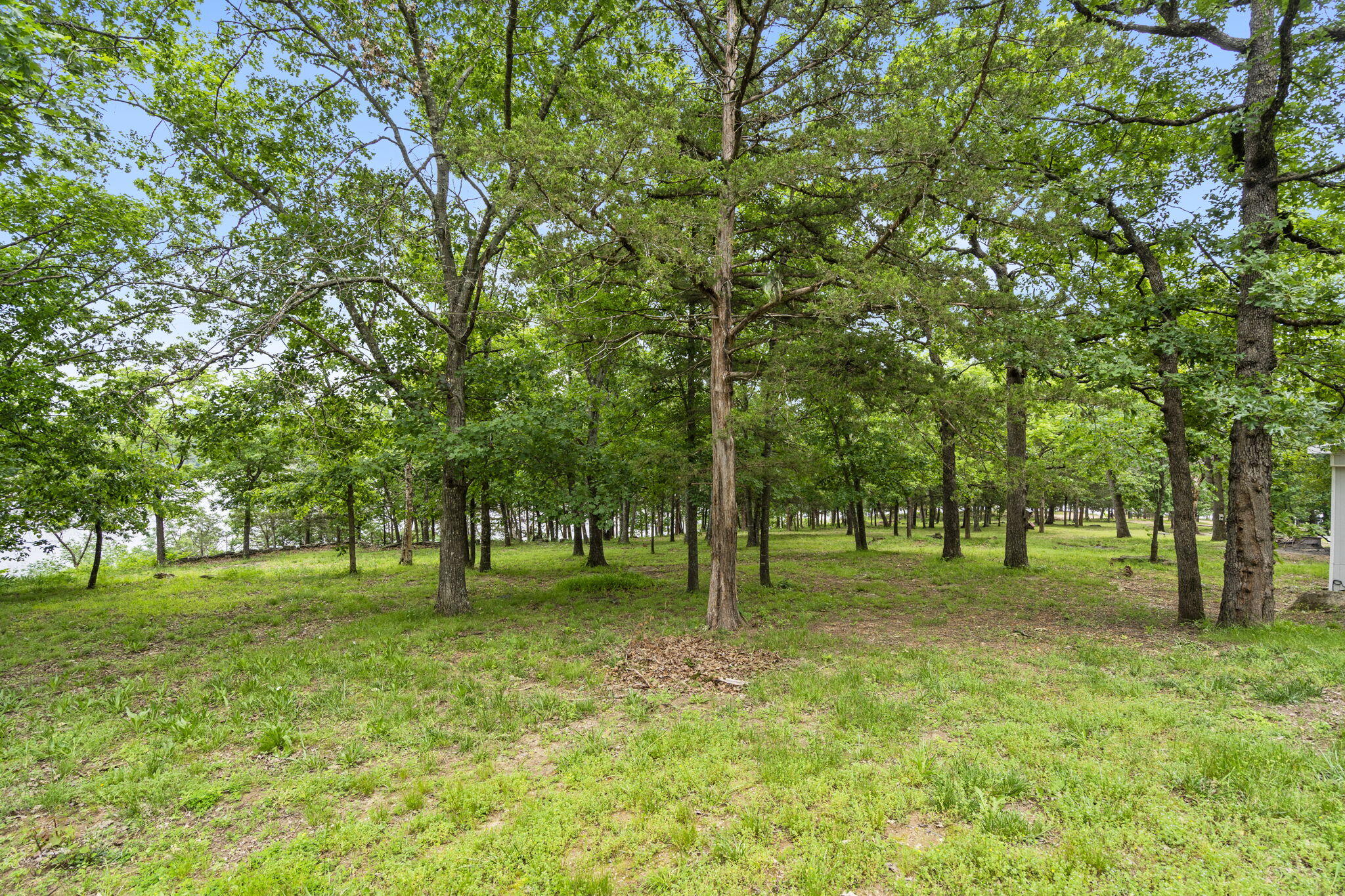Photo 29 - Residential for sale – 1480  Peebles Point Road  Cape Fair, MO