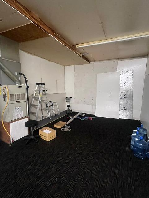 Photo 11 - Commercial Sale for sale – 223 S Jefferson Street   Ava, MO