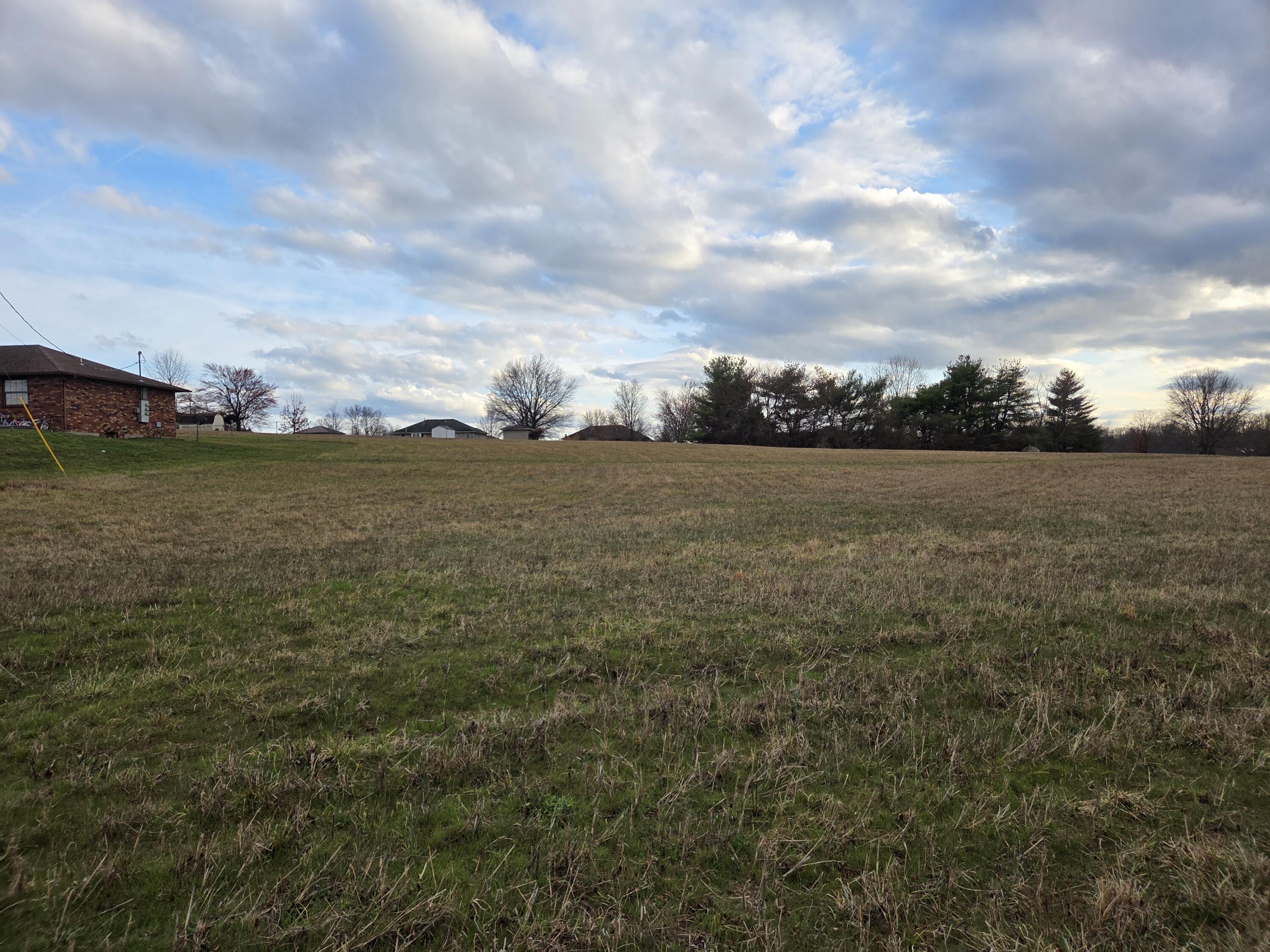 Photo 3 - Land for sale – 000  Us Highway 160   Ash Grove, MO