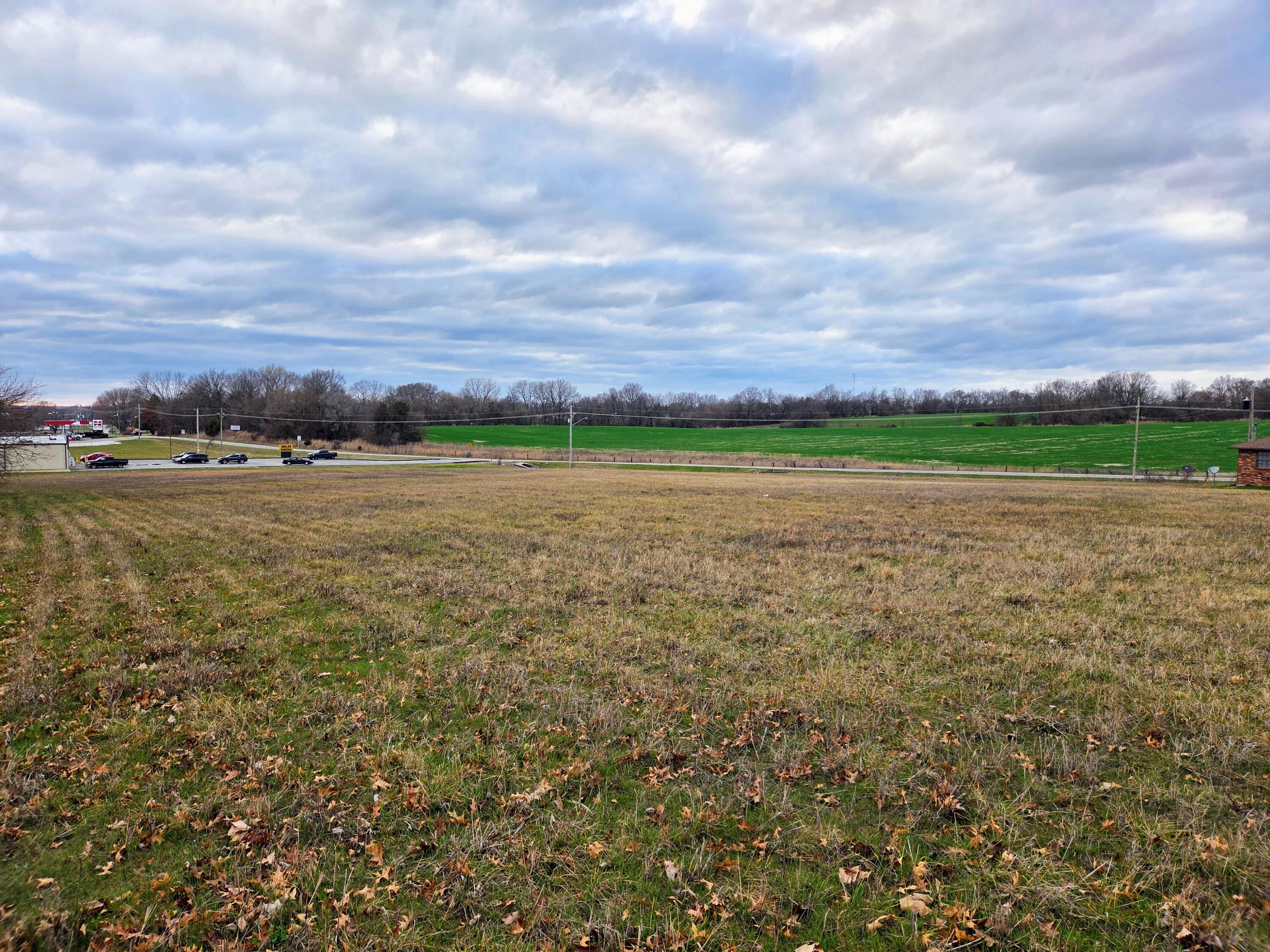 Photo 13 - Land for sale – 000  Us Highway 160   Ash Grove, MO