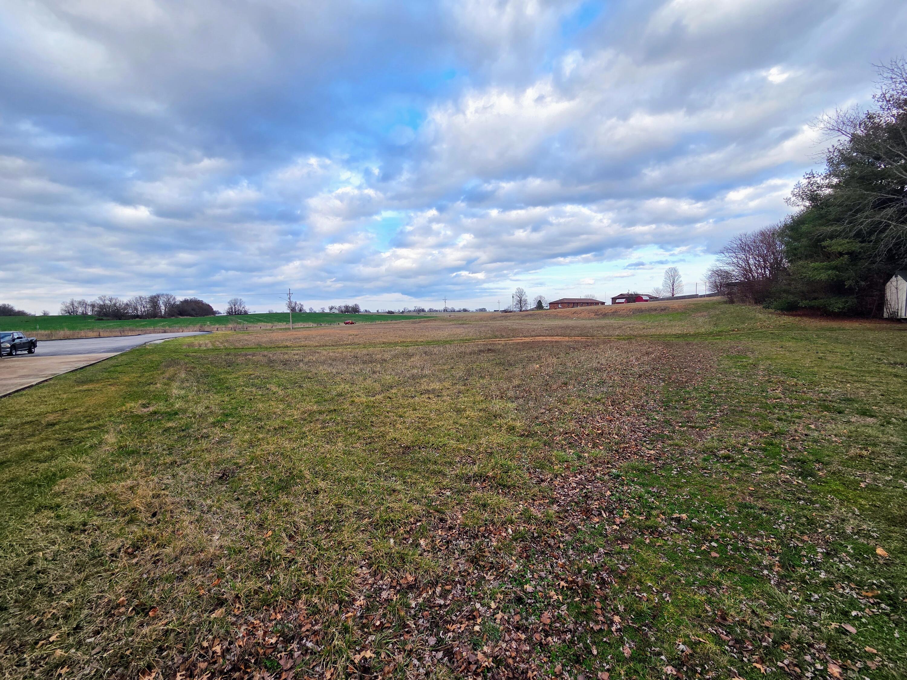 Photo 8 - Land for sale – 000  Us Highway 160   Ash Grove, MO