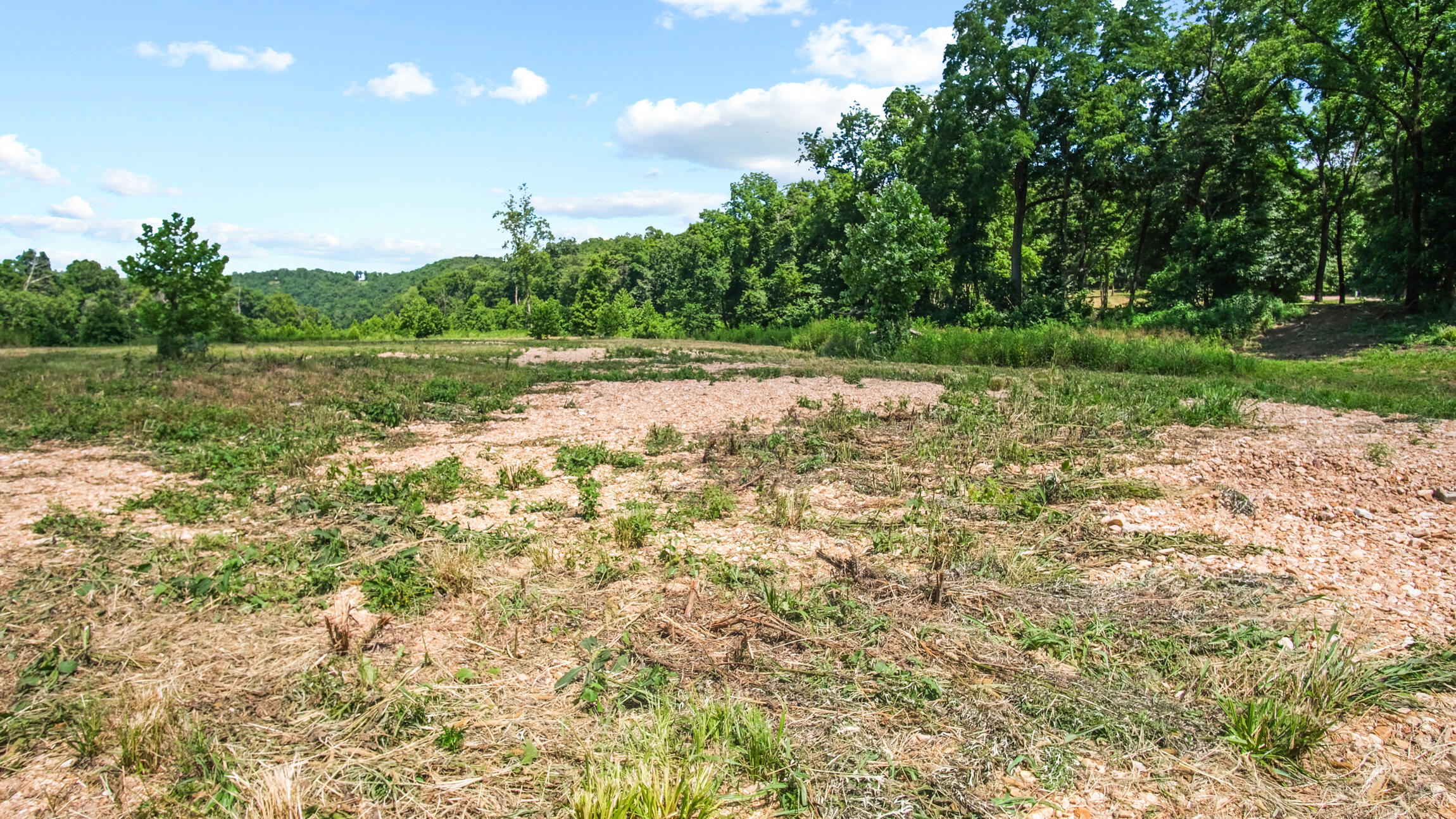 Photo 9 - Land for sale – 000  Blue Ribbon   Pottersville, MO