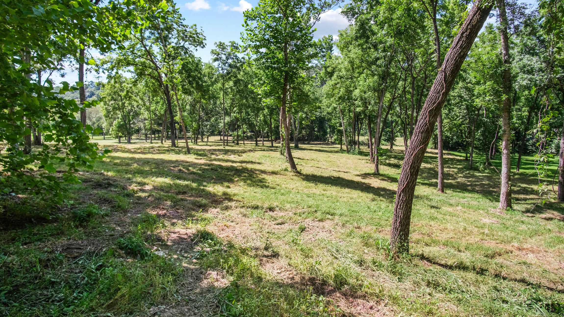 Photo 10 - Land for sale – 000  Blue Ribbon   Pottersville, MO