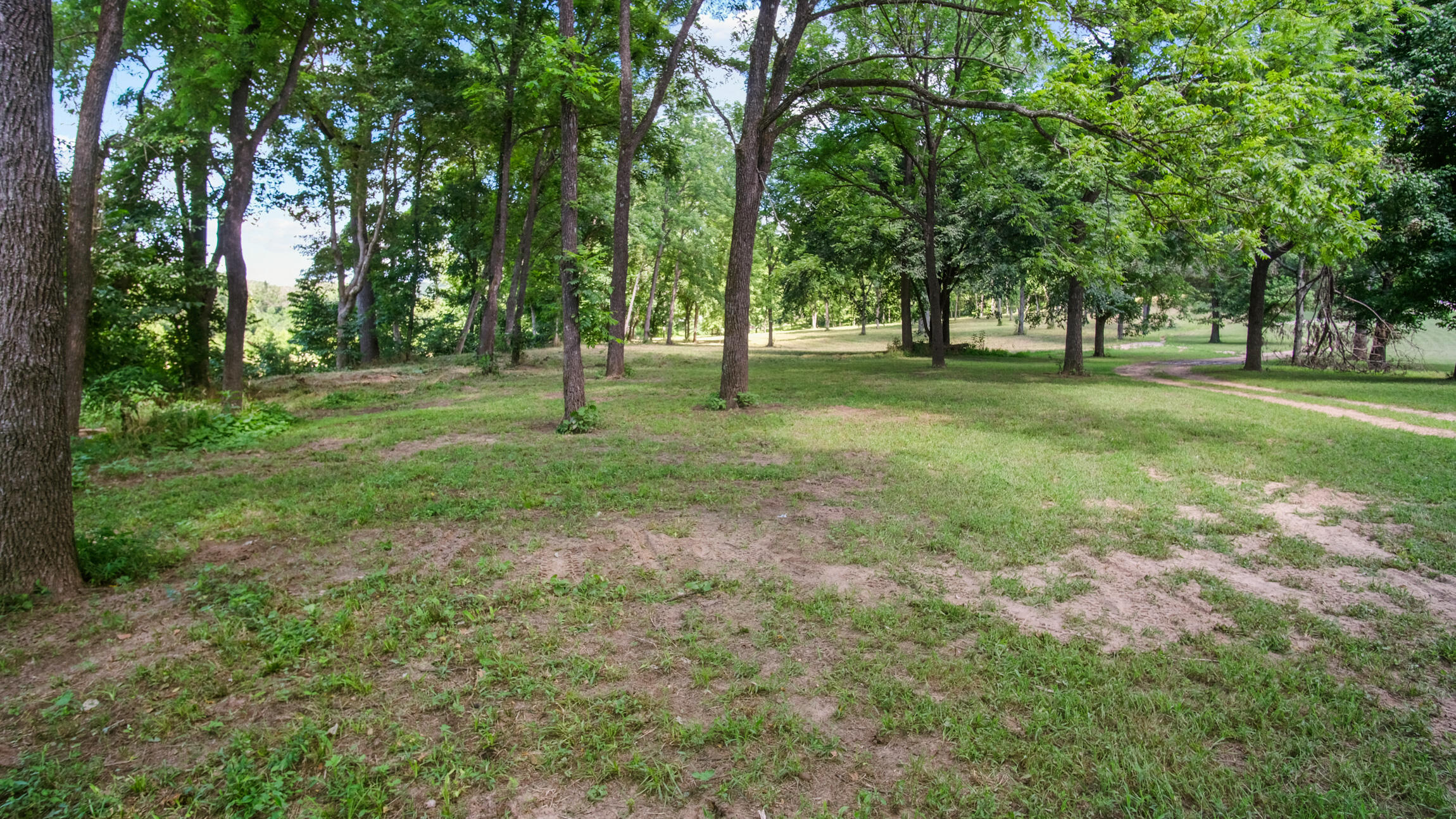 Photo 8 - Land for sale – 000  Blue Ribbon   Pottersville, MO