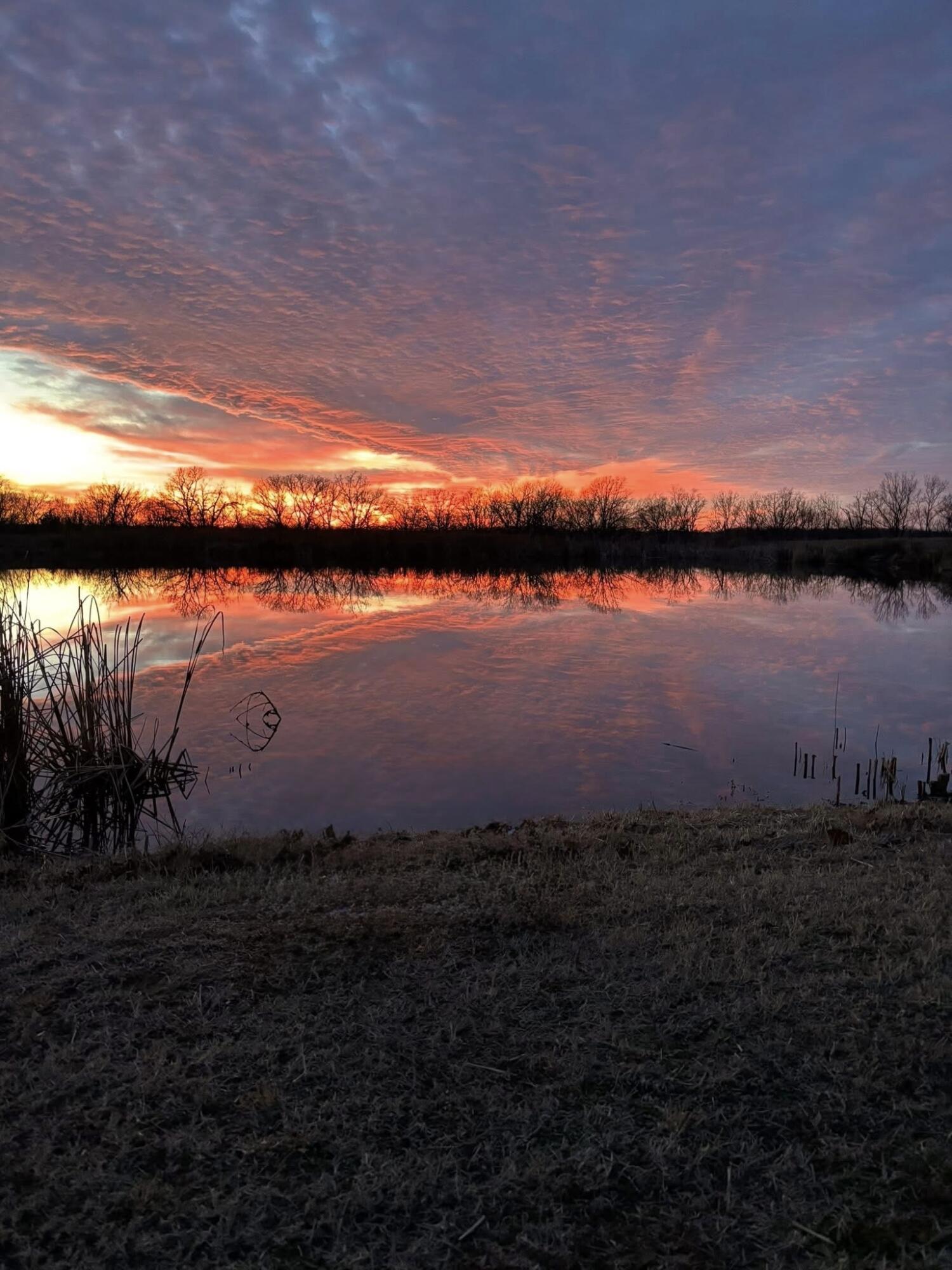 Photo 8 - Farm for sale – 463b NE 88th Lane  Lamar, MO