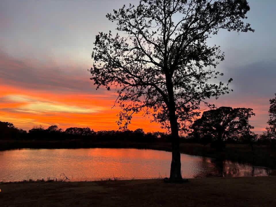 Photo 3 - Farm for sale – 463b NE 88th Lane  Lamar, MO