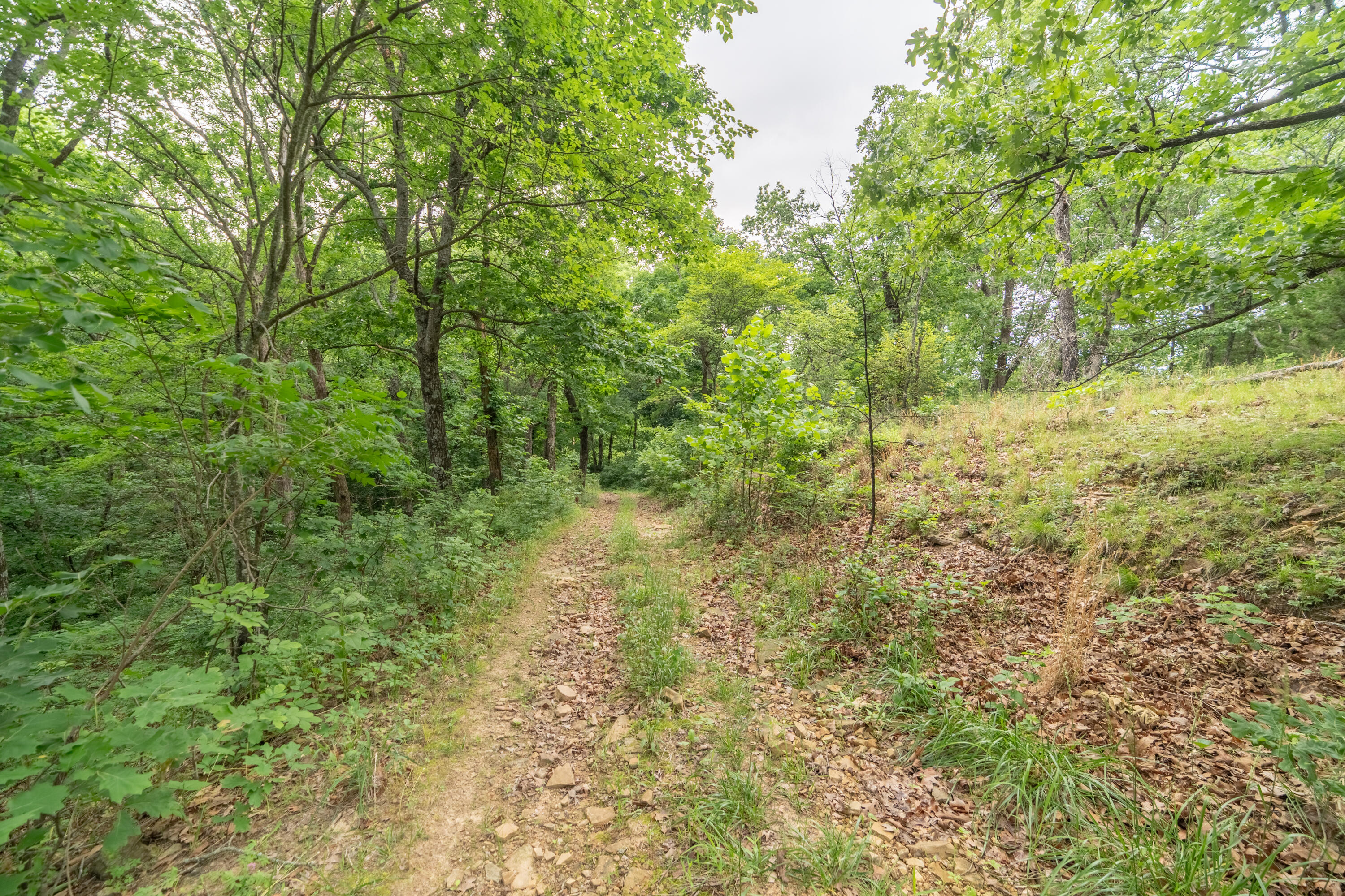Photo 65 - Farm for sale – 463b NE 88th Lane  Lamar, MO
