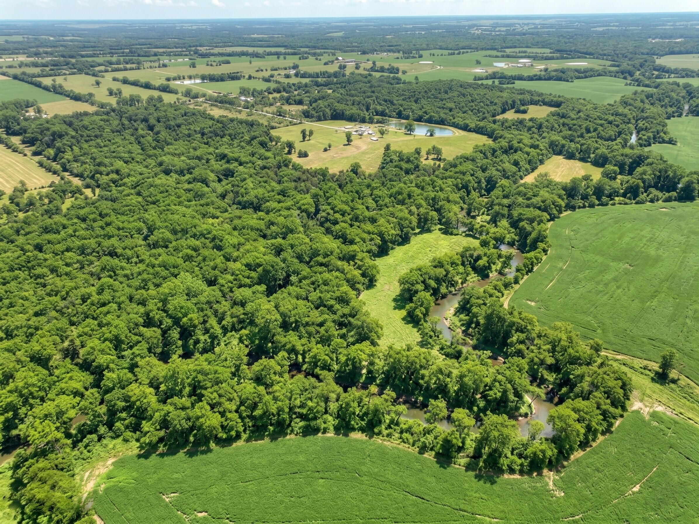 Photo 15 - Farm for sale – 463b NE 88th Lane  Lamar, MO