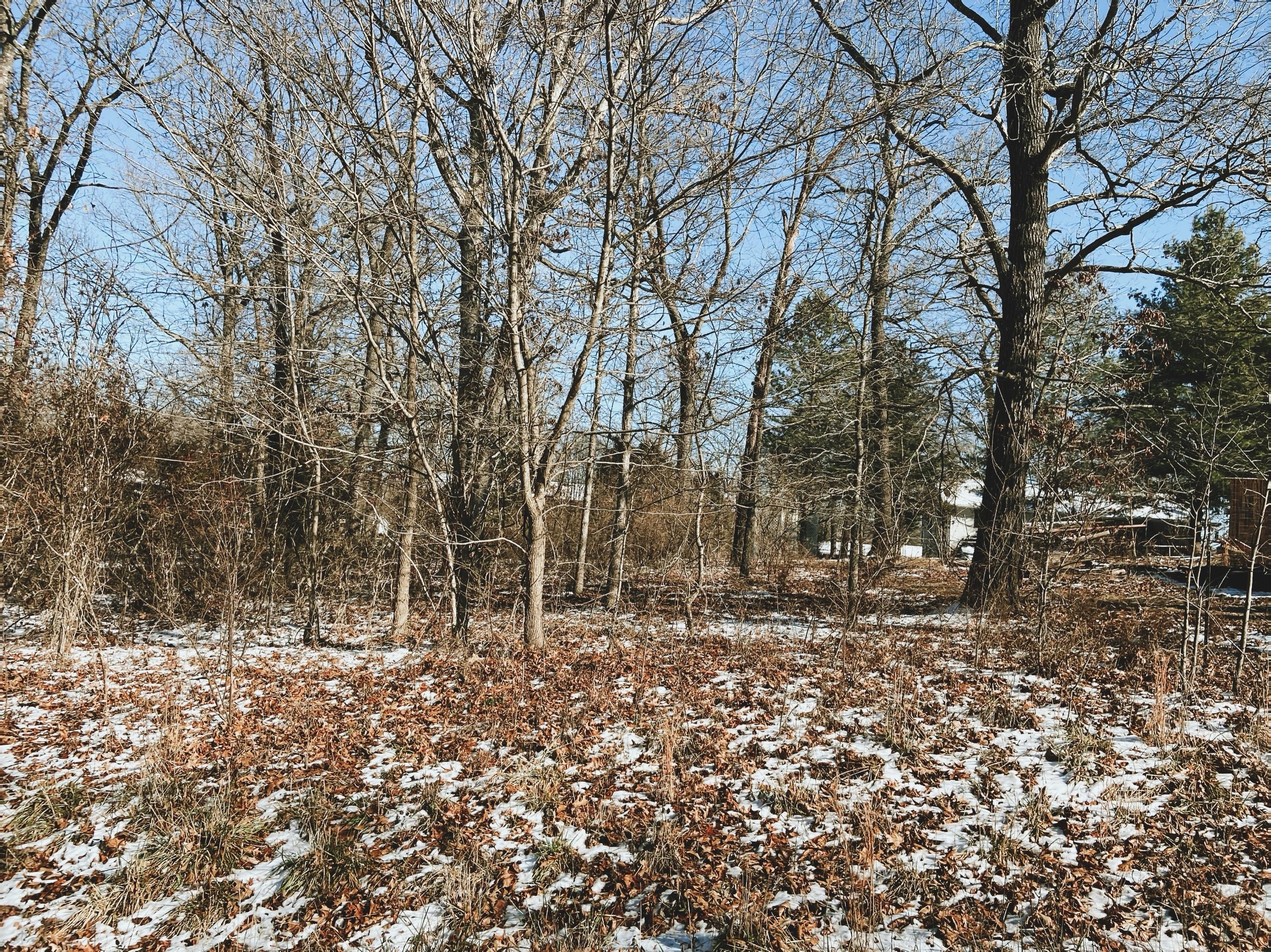 Photo 2 - Land for sale – 000  Ginger Drive Lot 7 Block 8 Drive  West Plains, MO