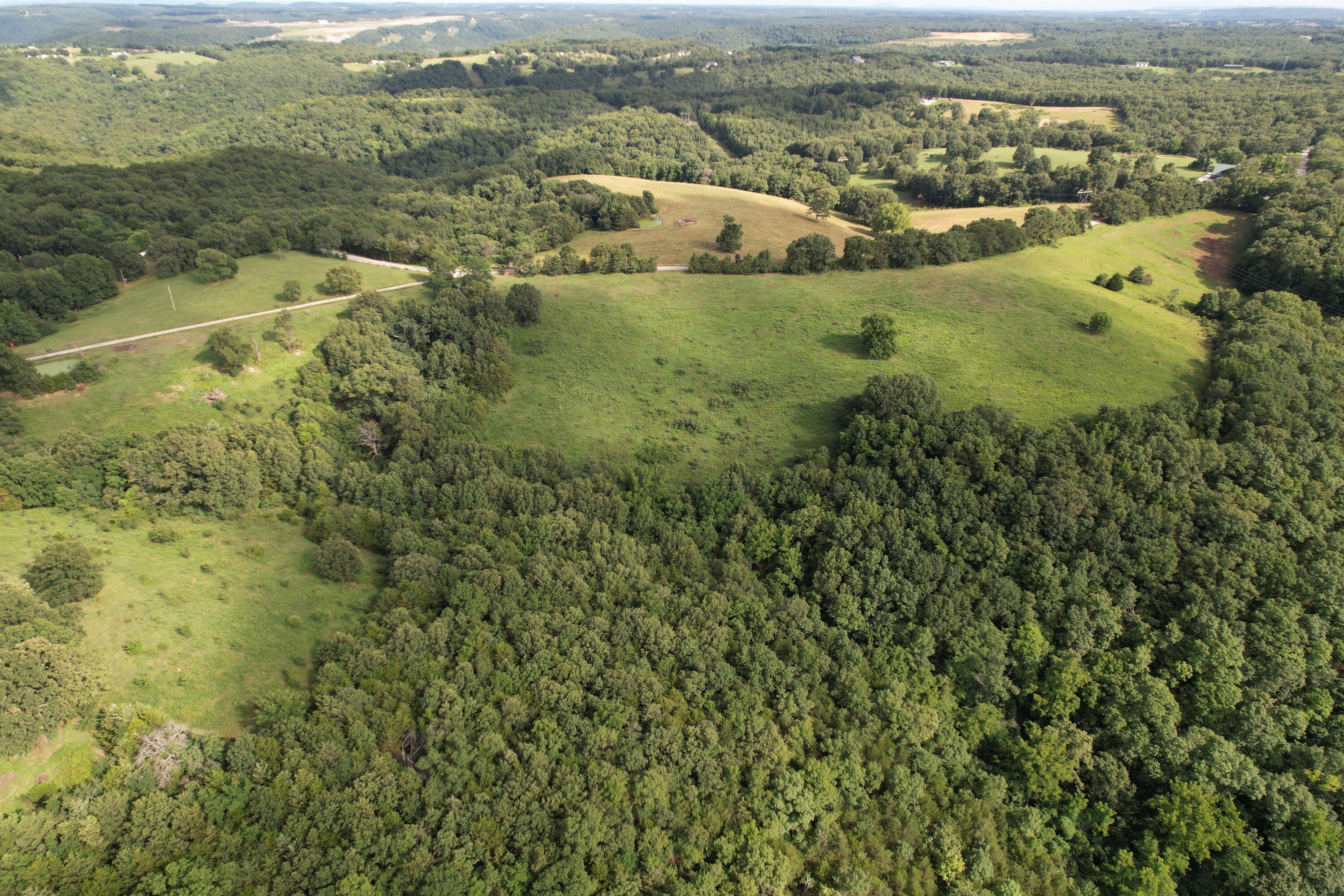 Photo 15 - Land for sale – Tbd  Us-65   Hollister, MO