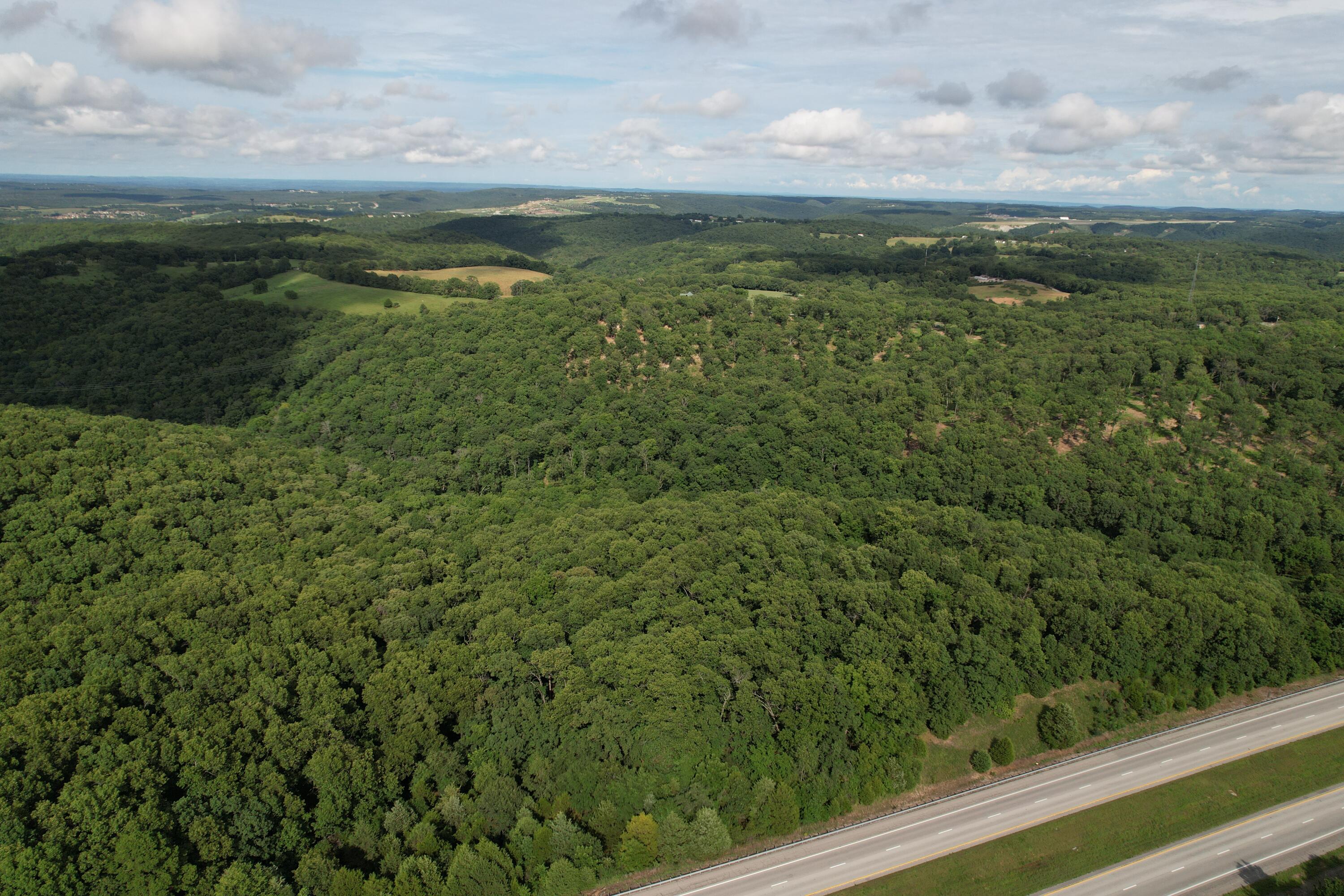 Photo 10 - Land for sale – Tbd  Us-65   Hollister, MO