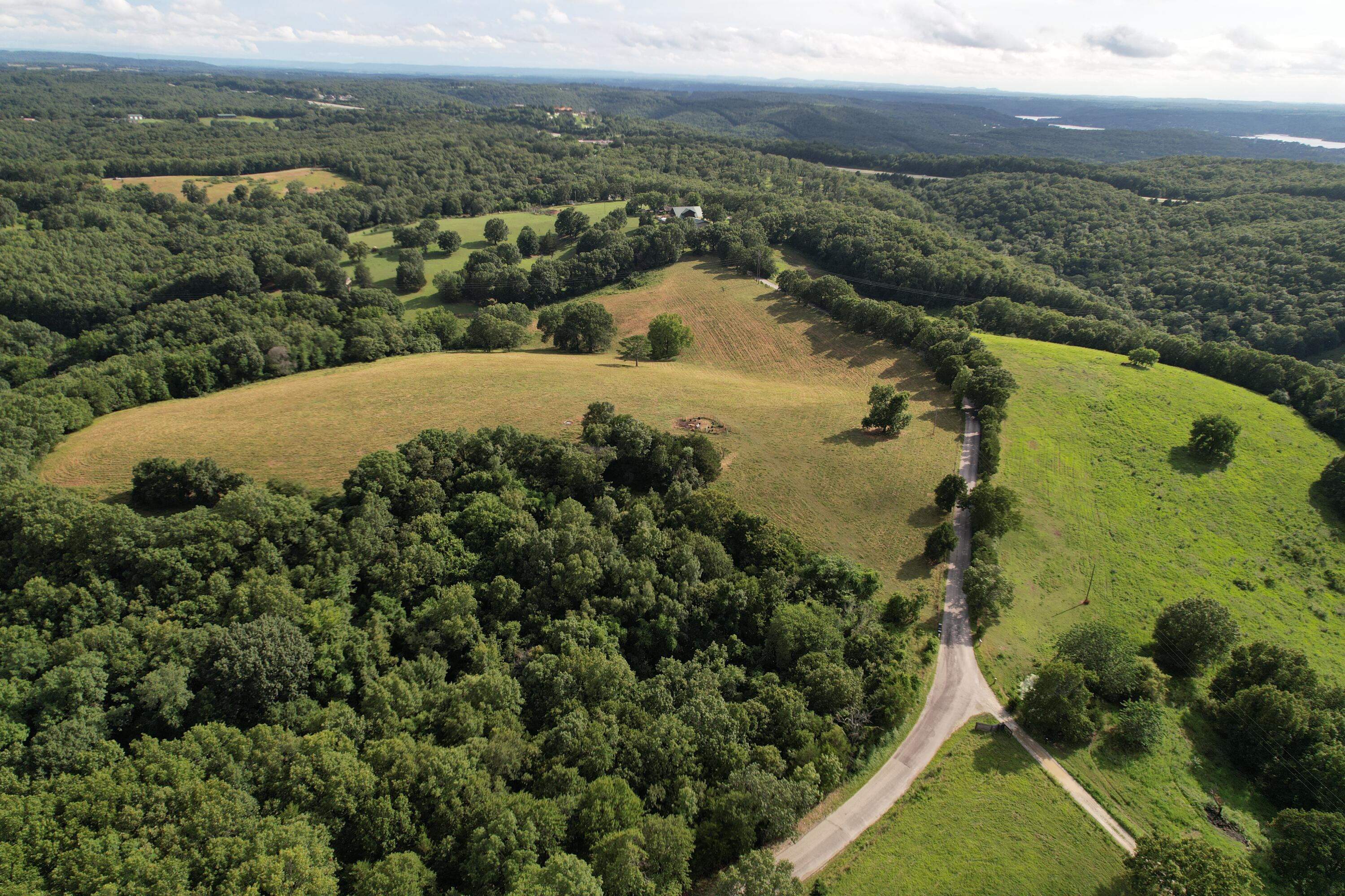 Photo 17 - Land for sale – Tbd  Us-65   Hollister, MO