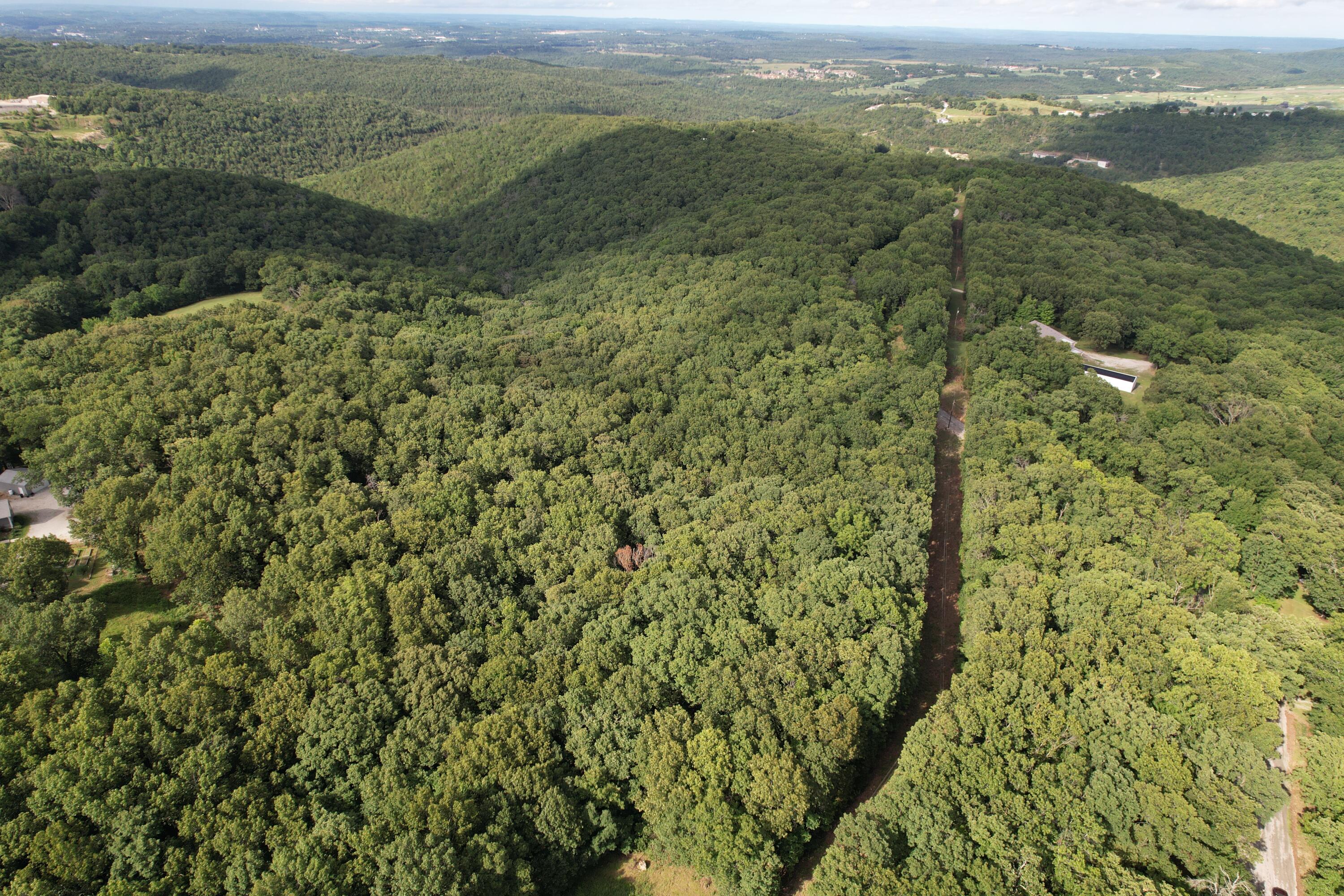 Photo 18 - Land for sale – Tbd  Us-65   Hollister, MO