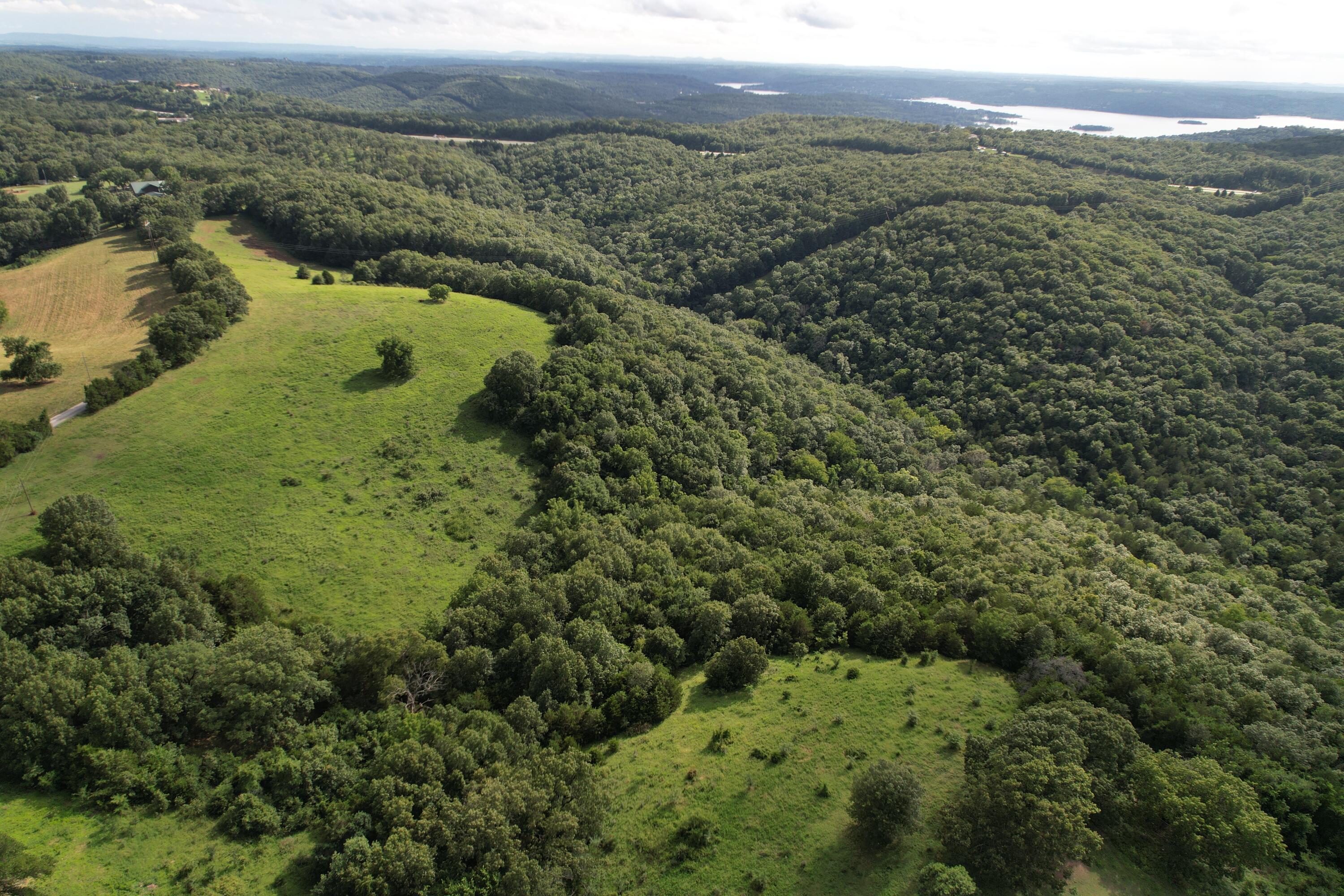Photo 16 - Land for sale – Tbd  Us-65   Hollister, MO