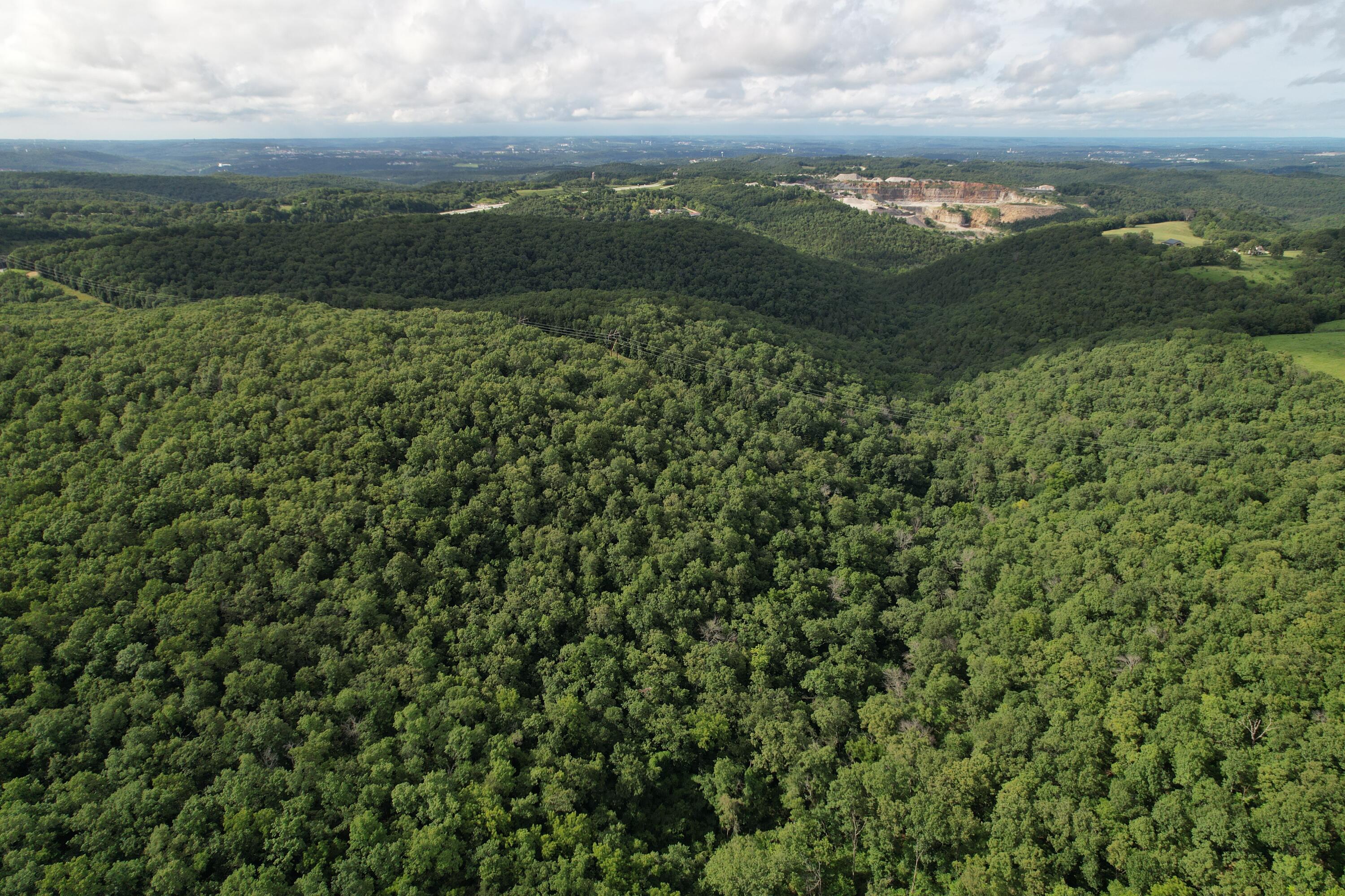 Photo 6 - Land for sale – Tbd  Us-65   Hollister, MO