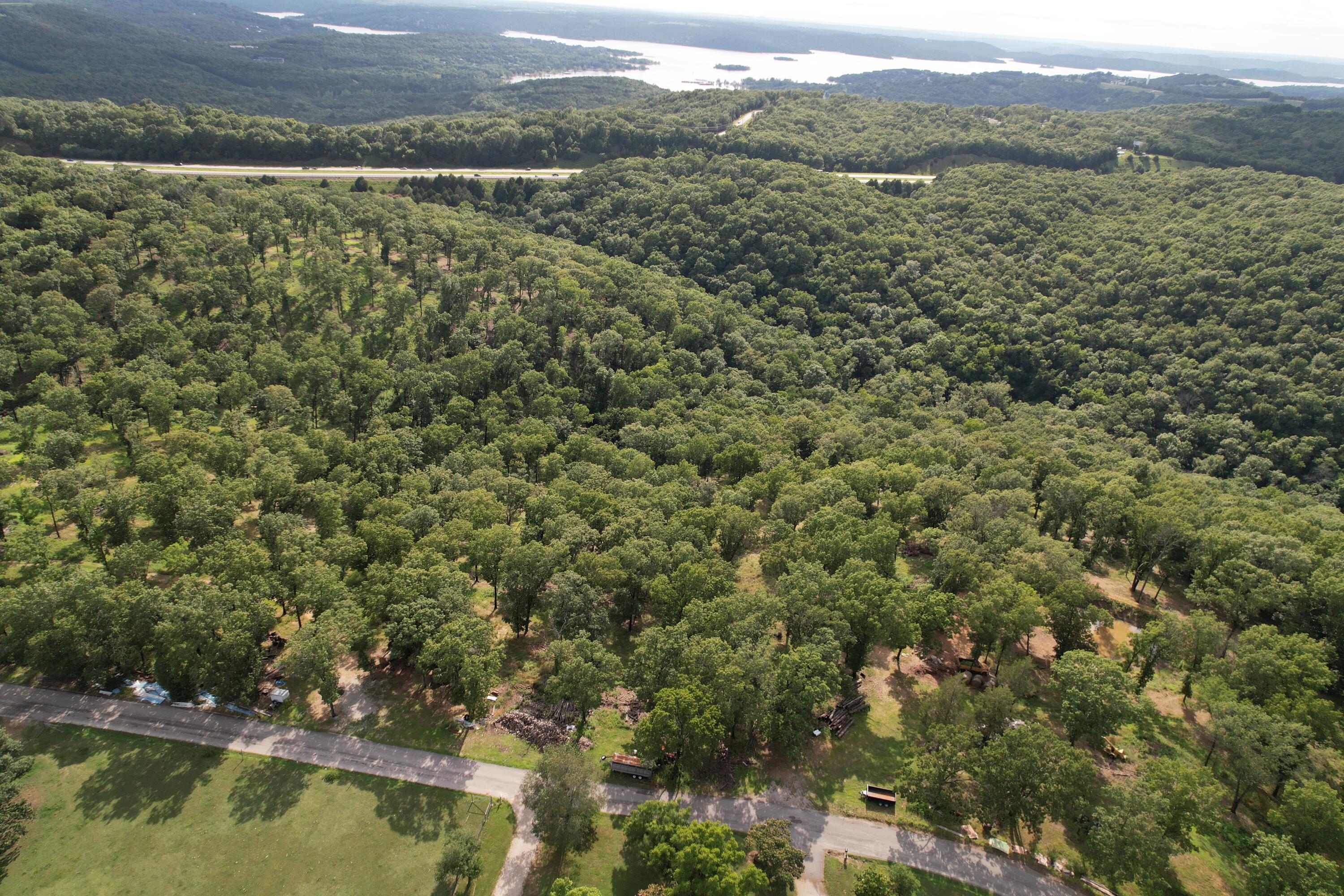 Photo 19 - Land for sale – Tbd  Us-65   Hollister, MO