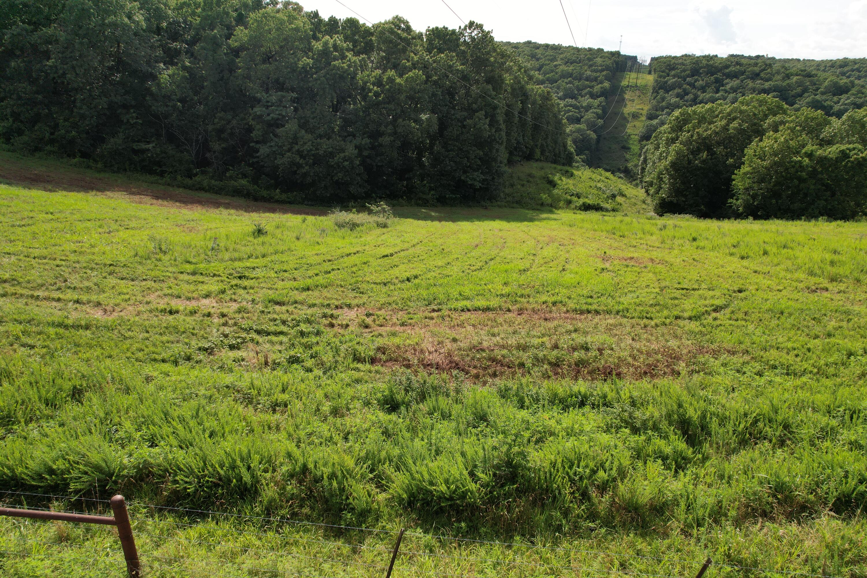 Photo 22 - Land for sale – Tbd  Us-65   Hollister, MO