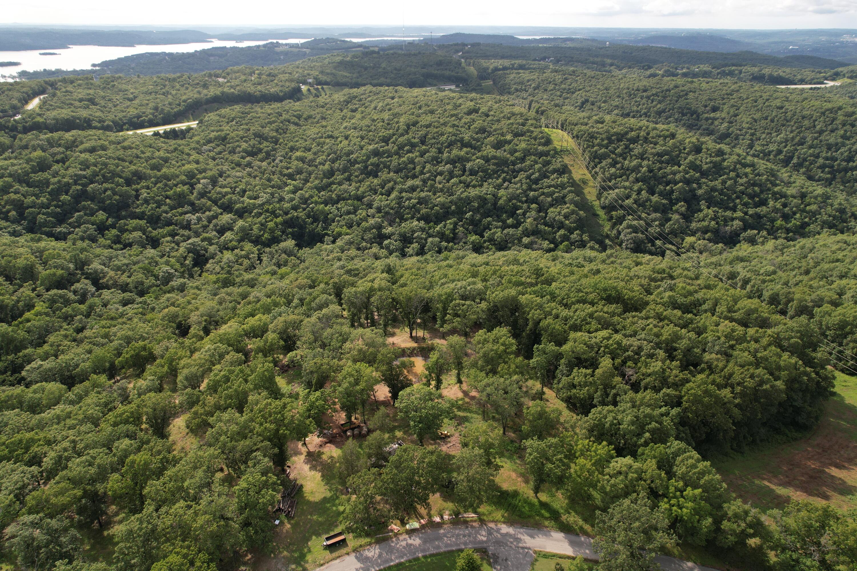 Photo 20 - Land for sale – Tbd  Us-65   Hollister, MO