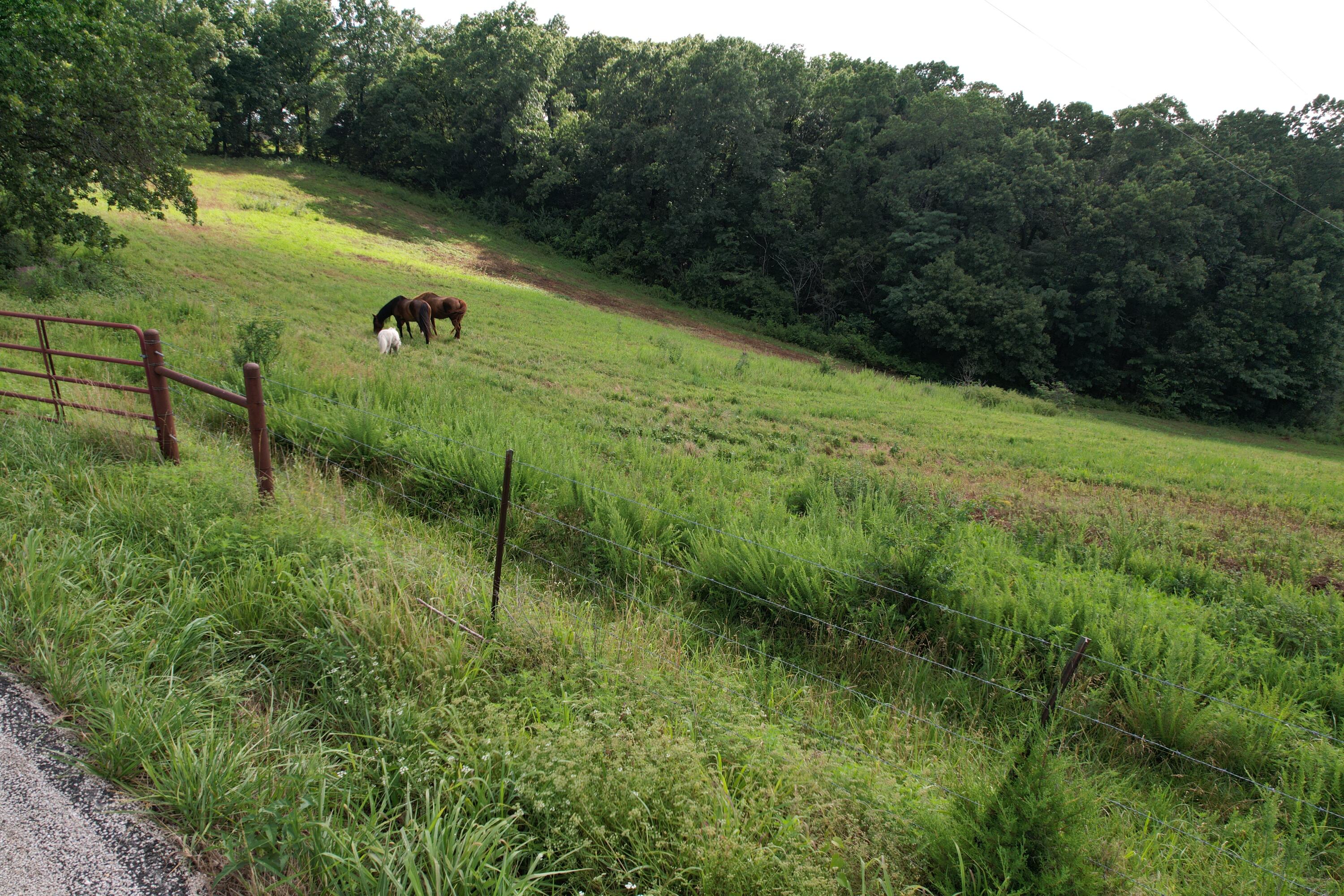 Photo 24 - Land for sale – Tbd  Us-65   Hollister, MO