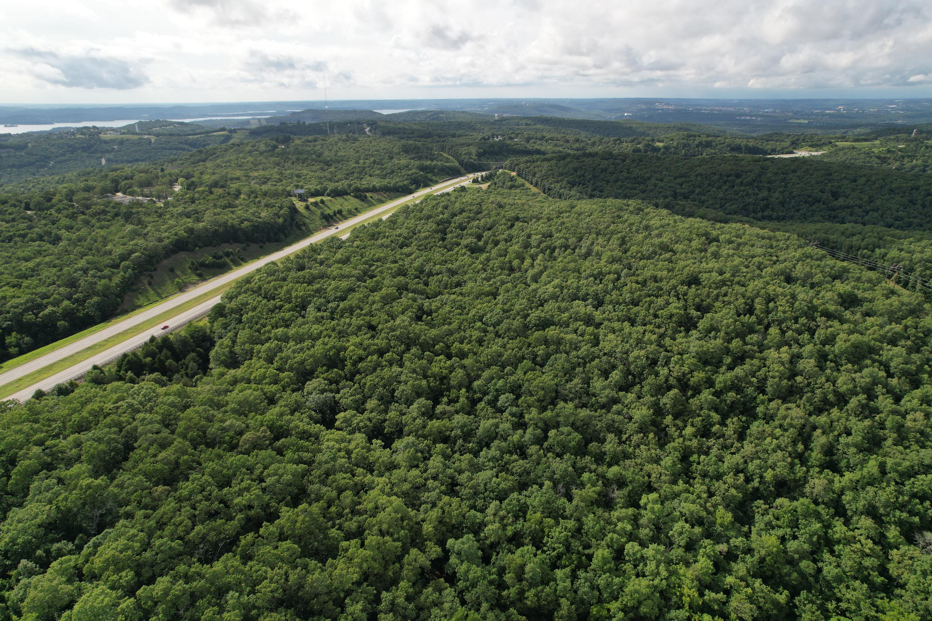 Photo 8 - Land for sale – Tbd  Us-65   Hollister, MO