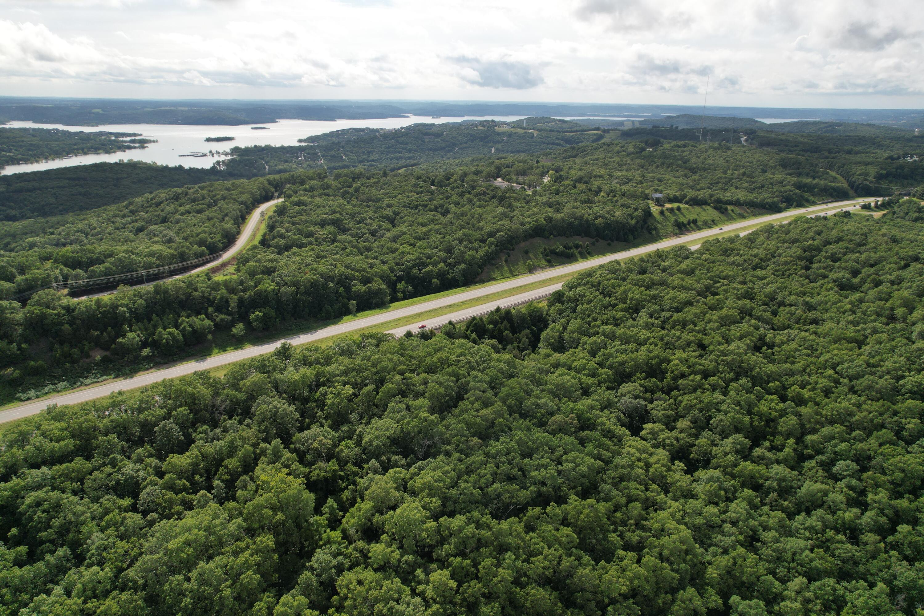 Photo 2 - Land for sale – Tbd  Us-65   Hollister, MO