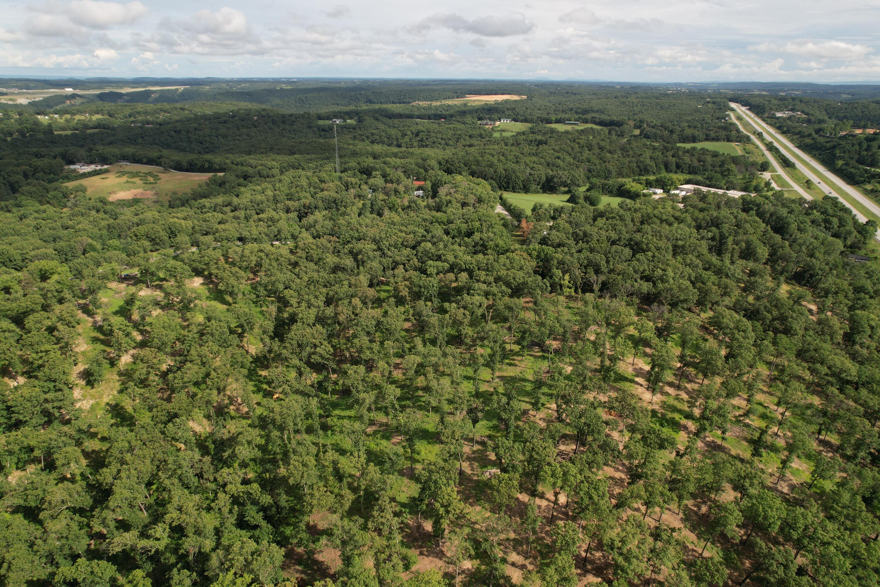 Photo 7 - Land for sale – Tbd  Us-65   Hollister, MO