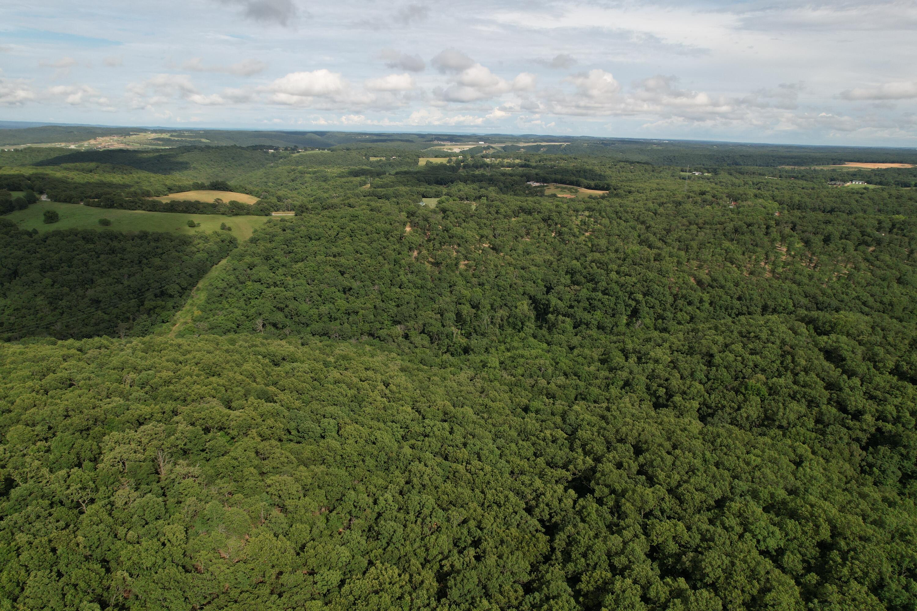Photo 11 - Land for sale – Tbd  Us-65   Hollister, MO