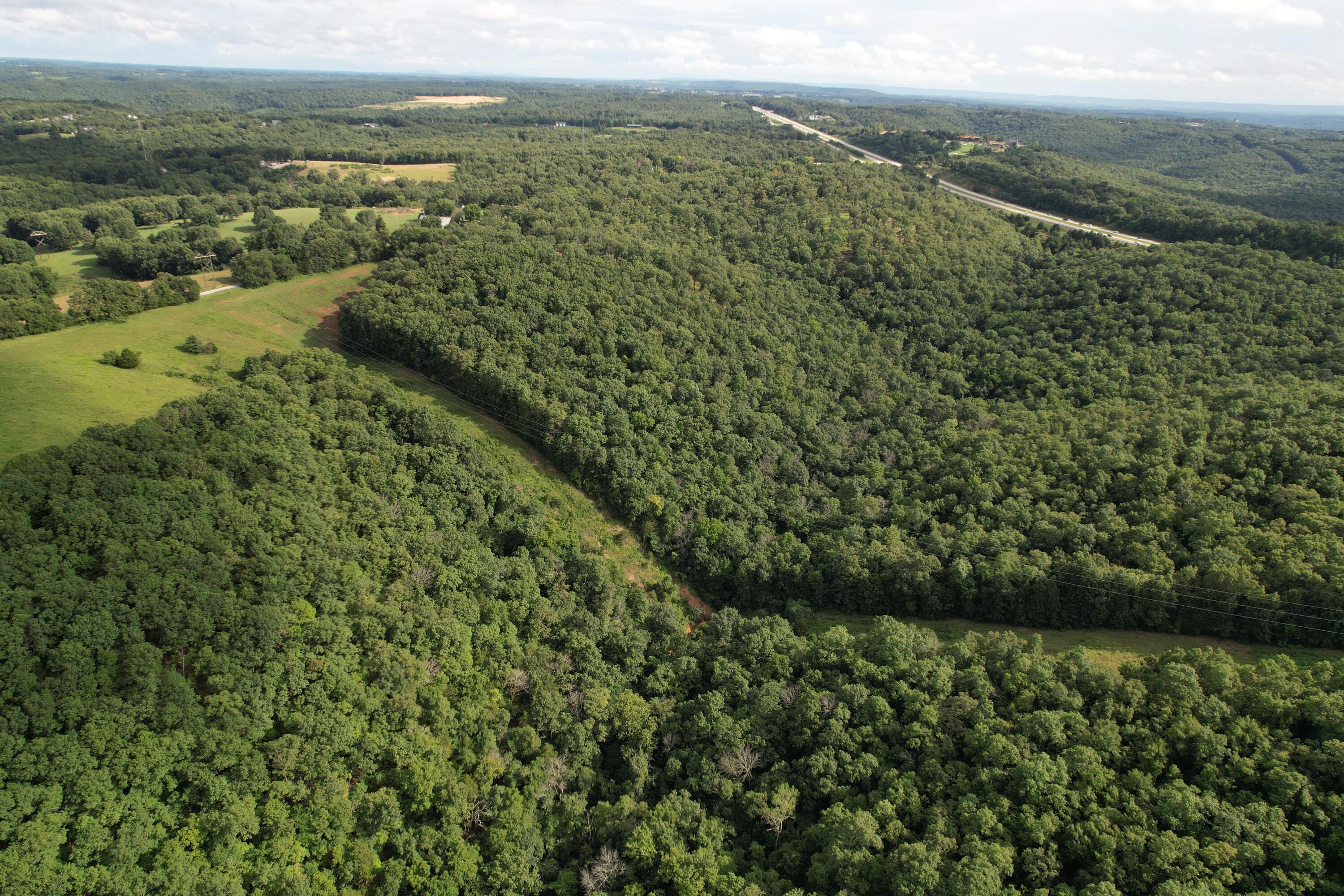 Photo 13 - Land for sale – Tbd  Us-65   Hollister, MO