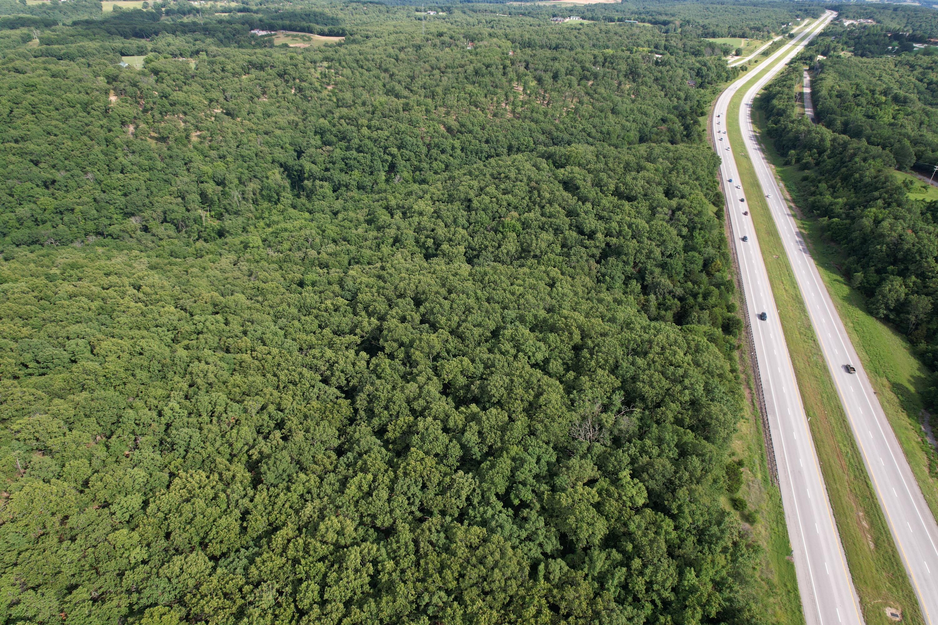 Photo 12 - Land for sale – Tbd  Us-65   Hollister, MO