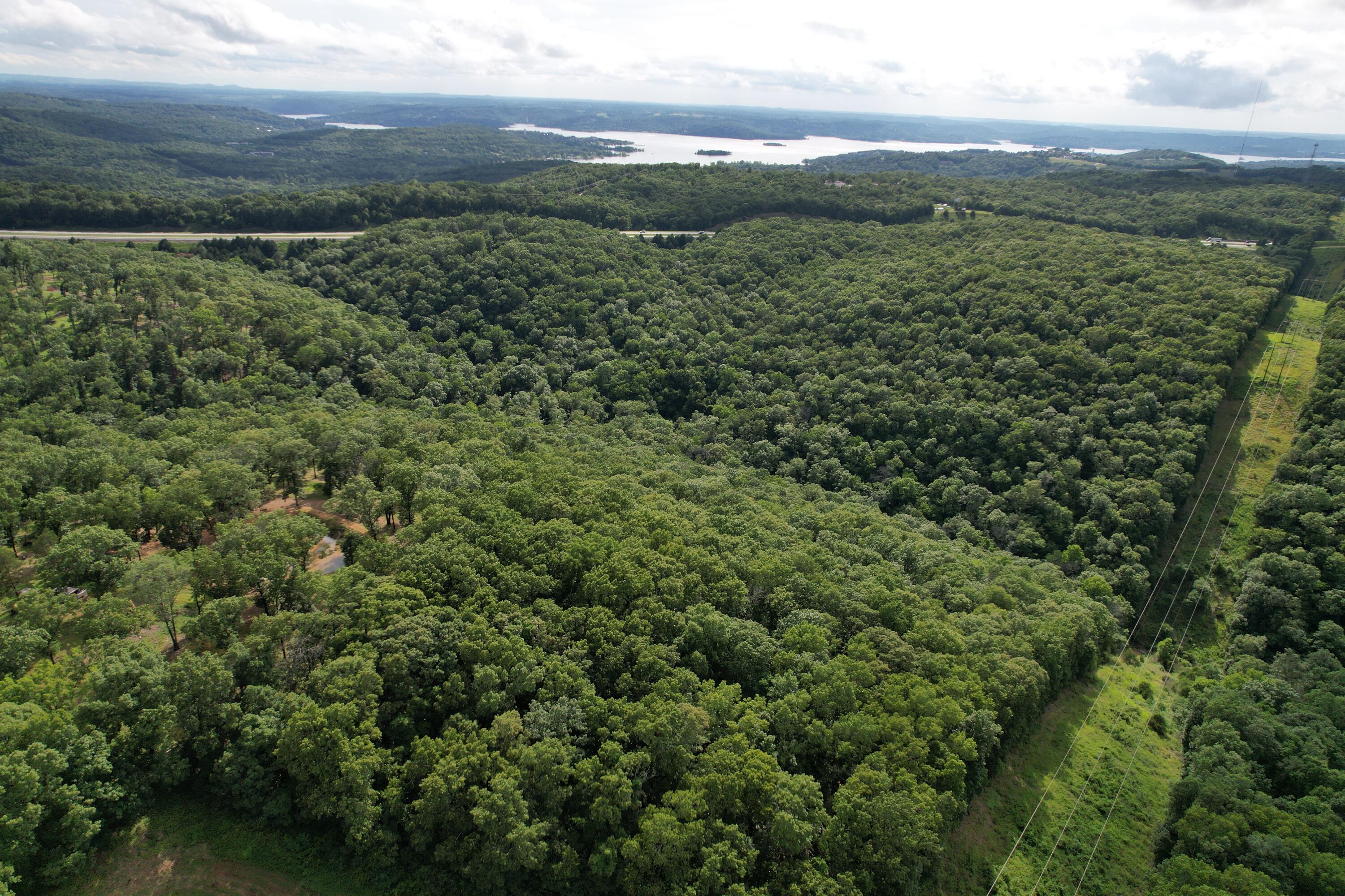 Photo 3 - Land for sale – Tbd  Us-65   Hollister, MO