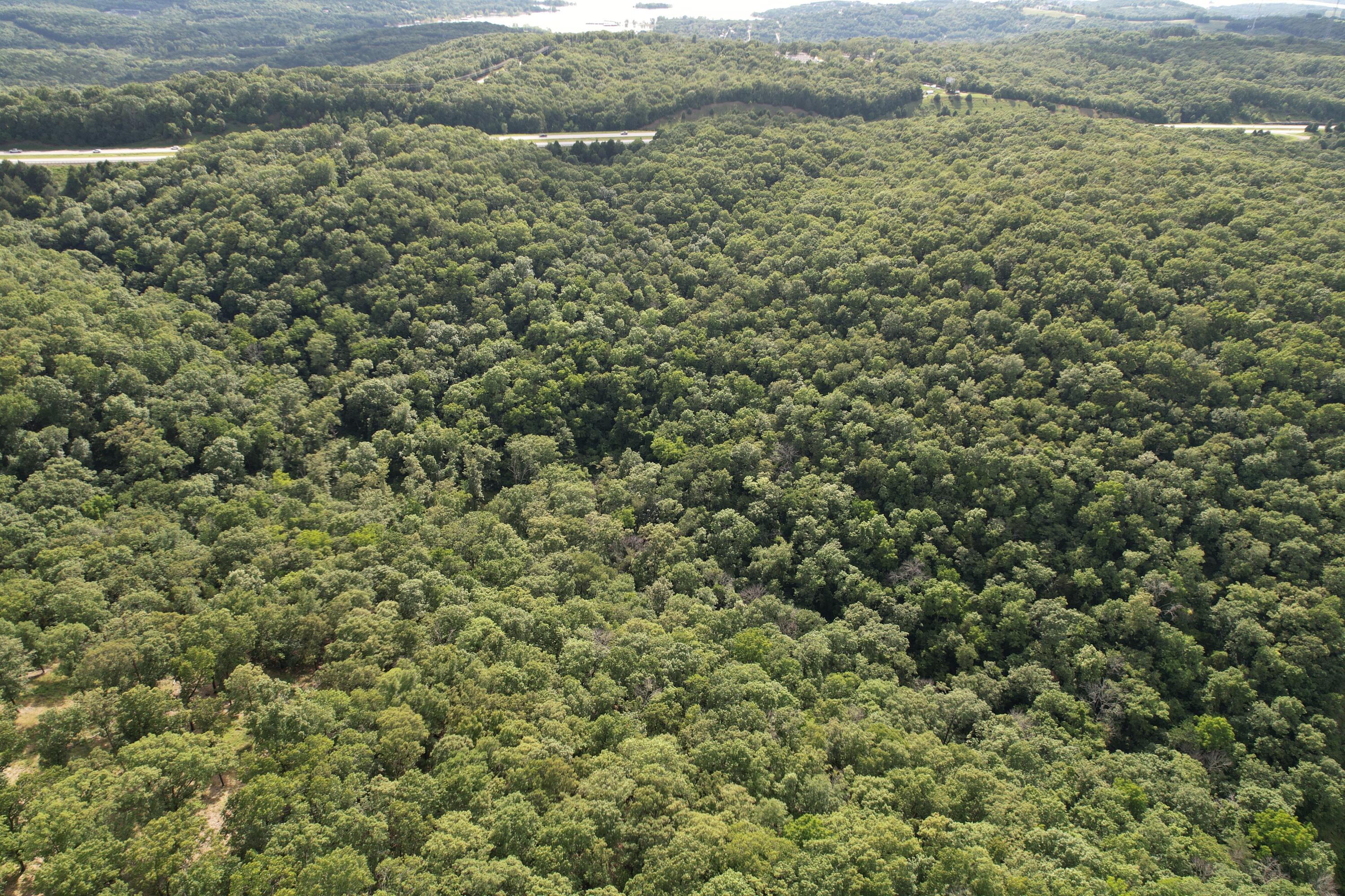 Photo 4 - Land for sale – Tbd  Us-65   Hollister, MO