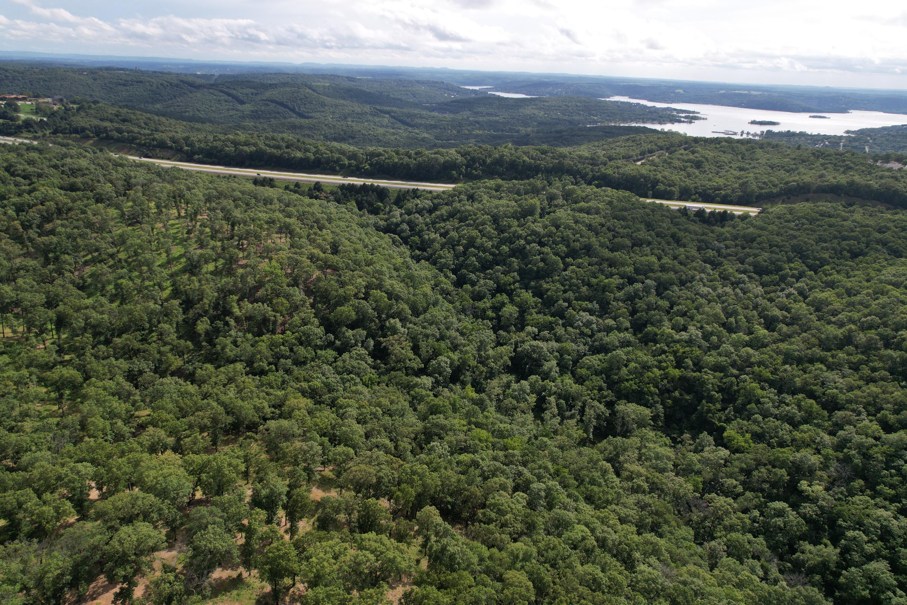 Photo 5 - Land for sale – Tbd  Us-65   Hollister, MO