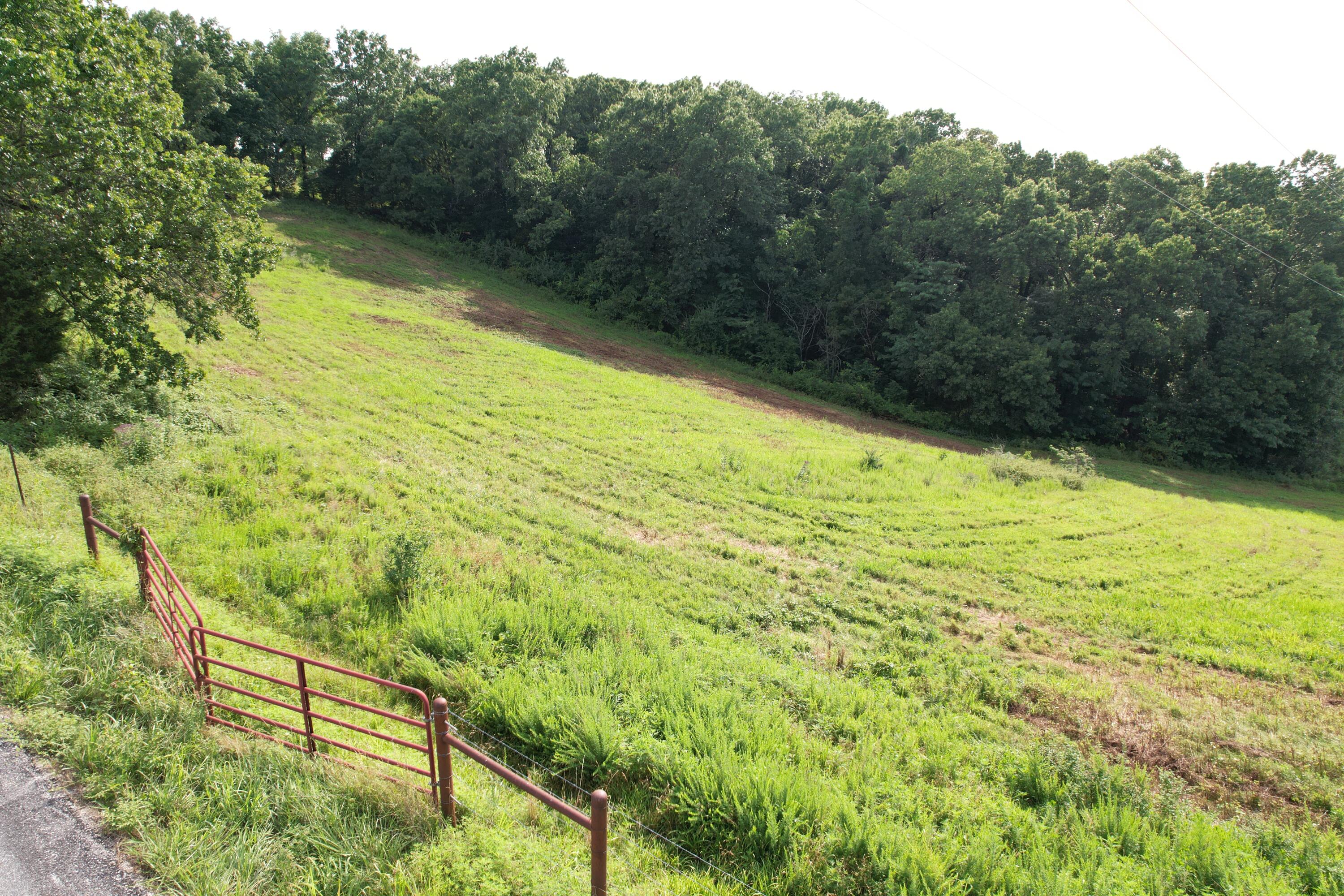 Photo 23 - Land for sale – Tbd  Us-65   Hollister, MO